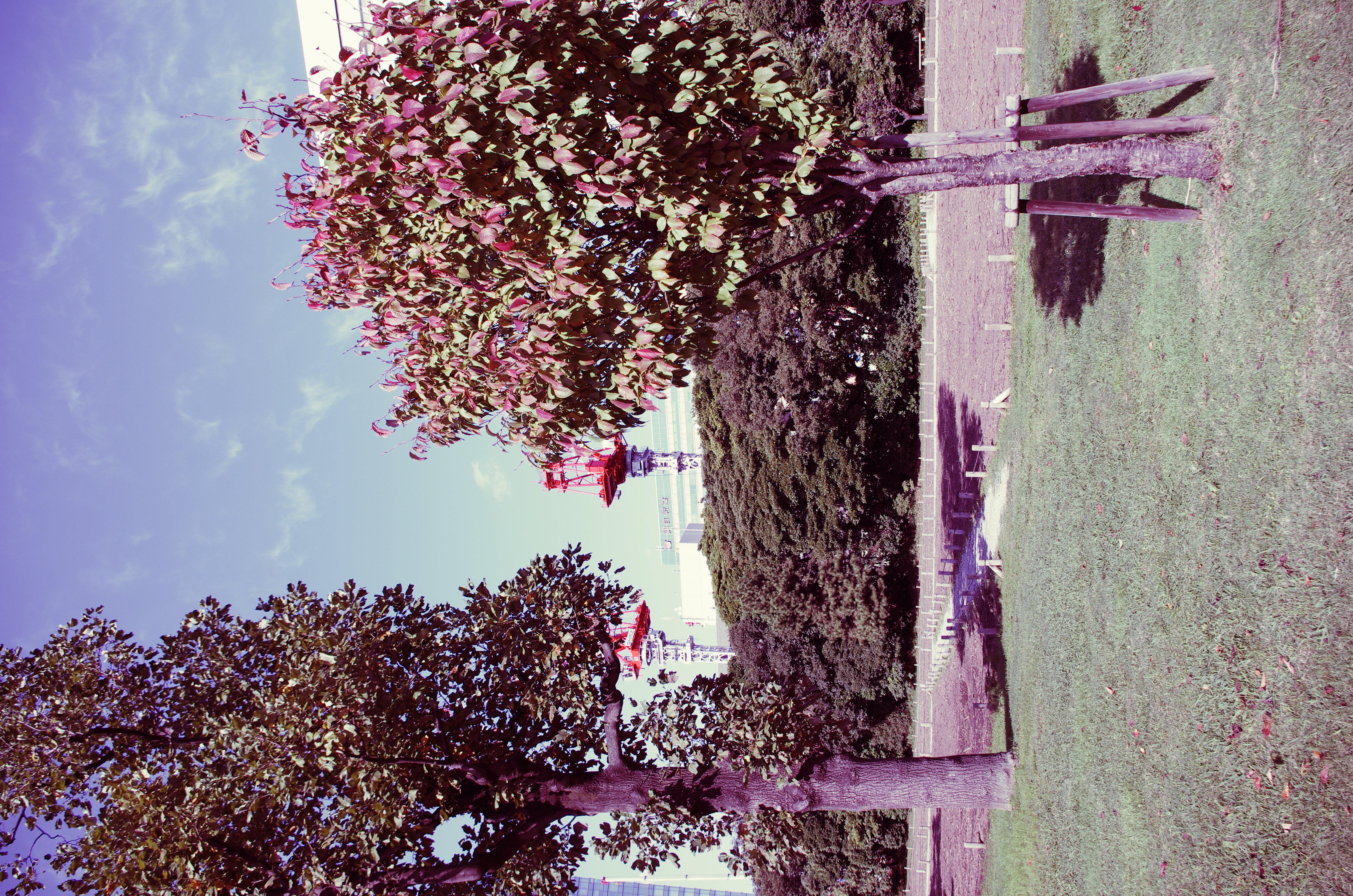 <b>クロスプロセス：プリセット3</b>