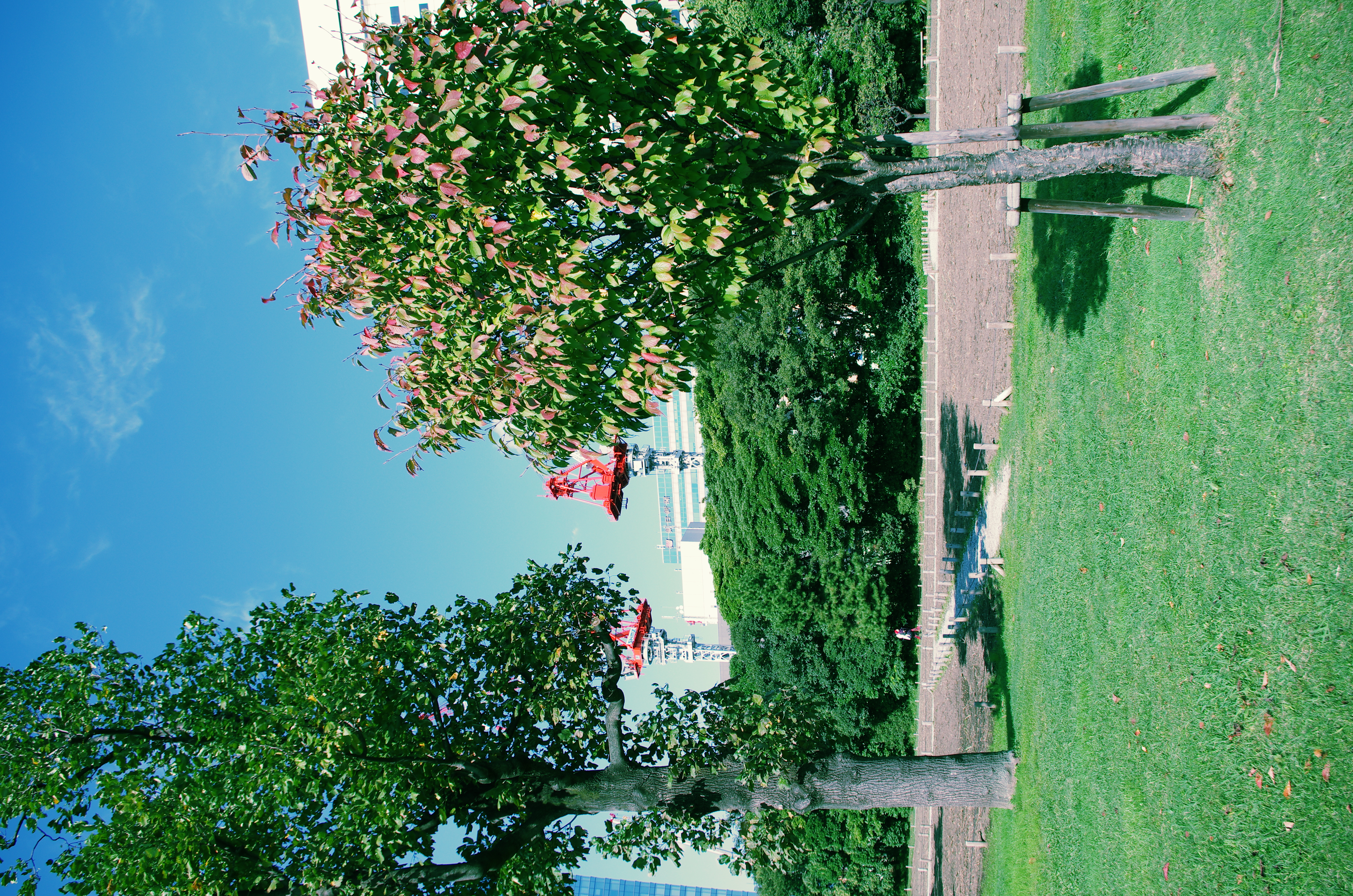 <b>クロスプロセス：シャッフル</b>