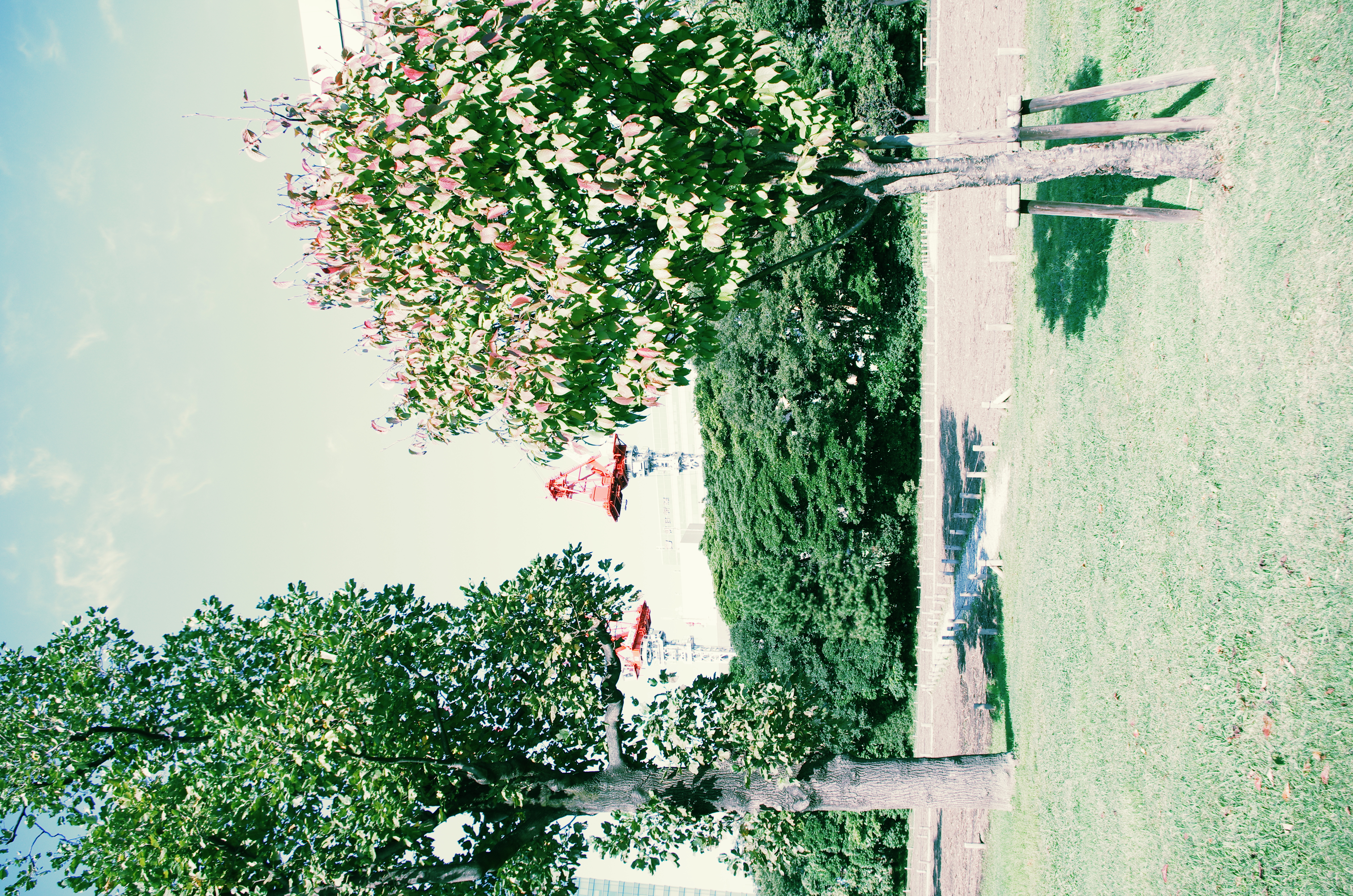 <b>クロスプロセス：シャッフル</b>