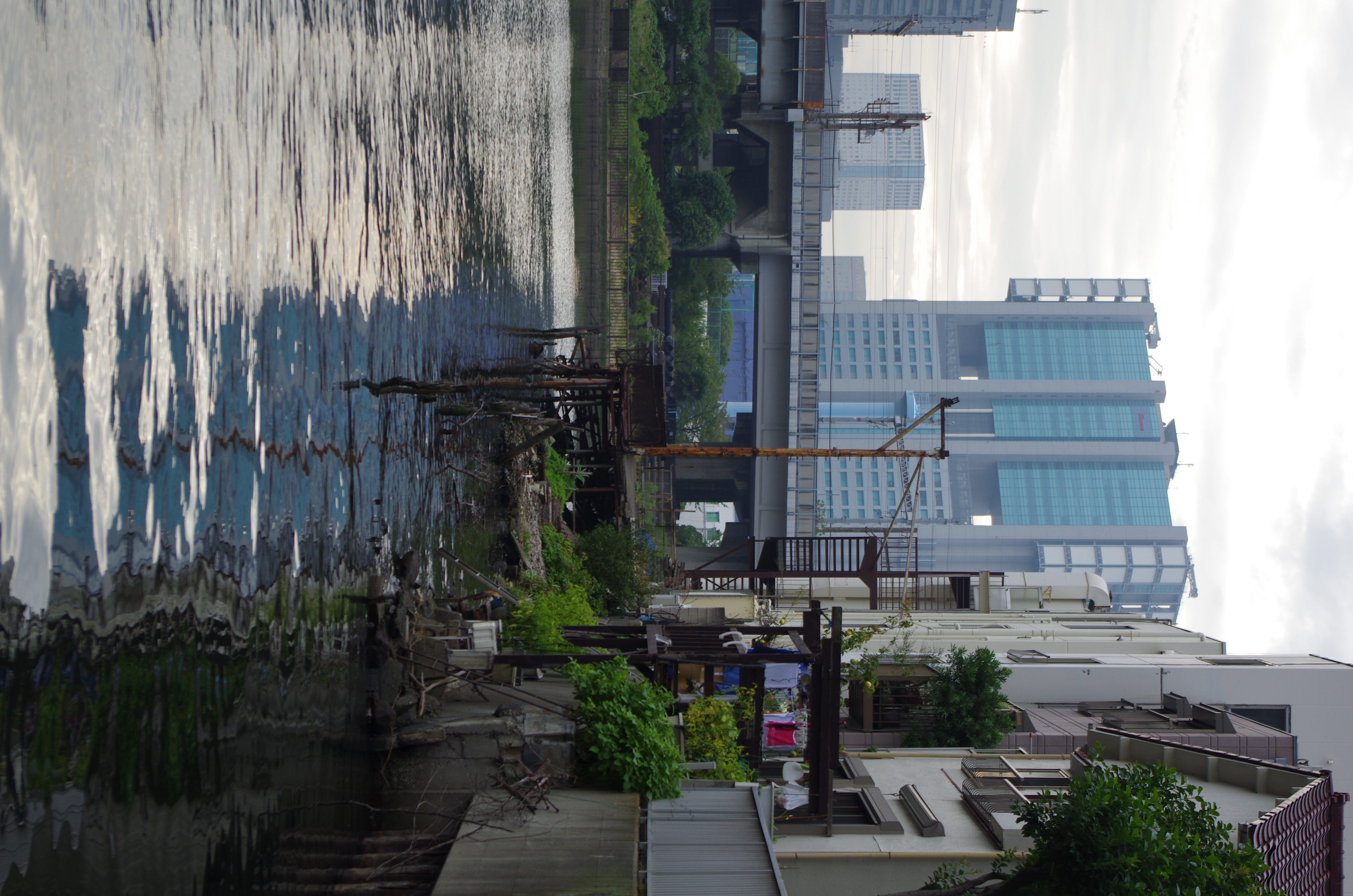 <b>ハイライト補正ON・シャドー補正ON（レベル1）</b>