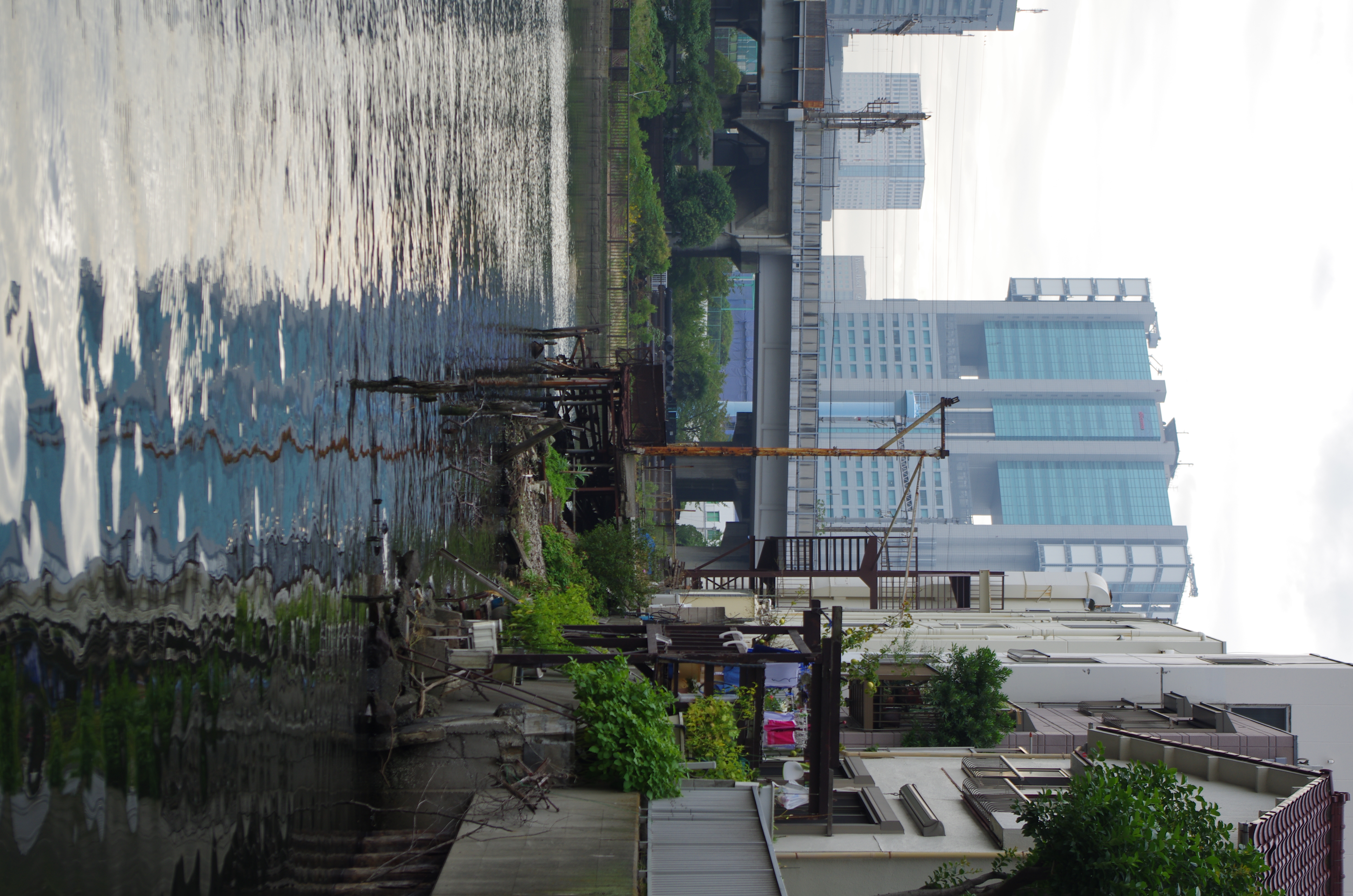 <b>ハイライト補正OFF・シャドー補正ON（レベル1）</b>