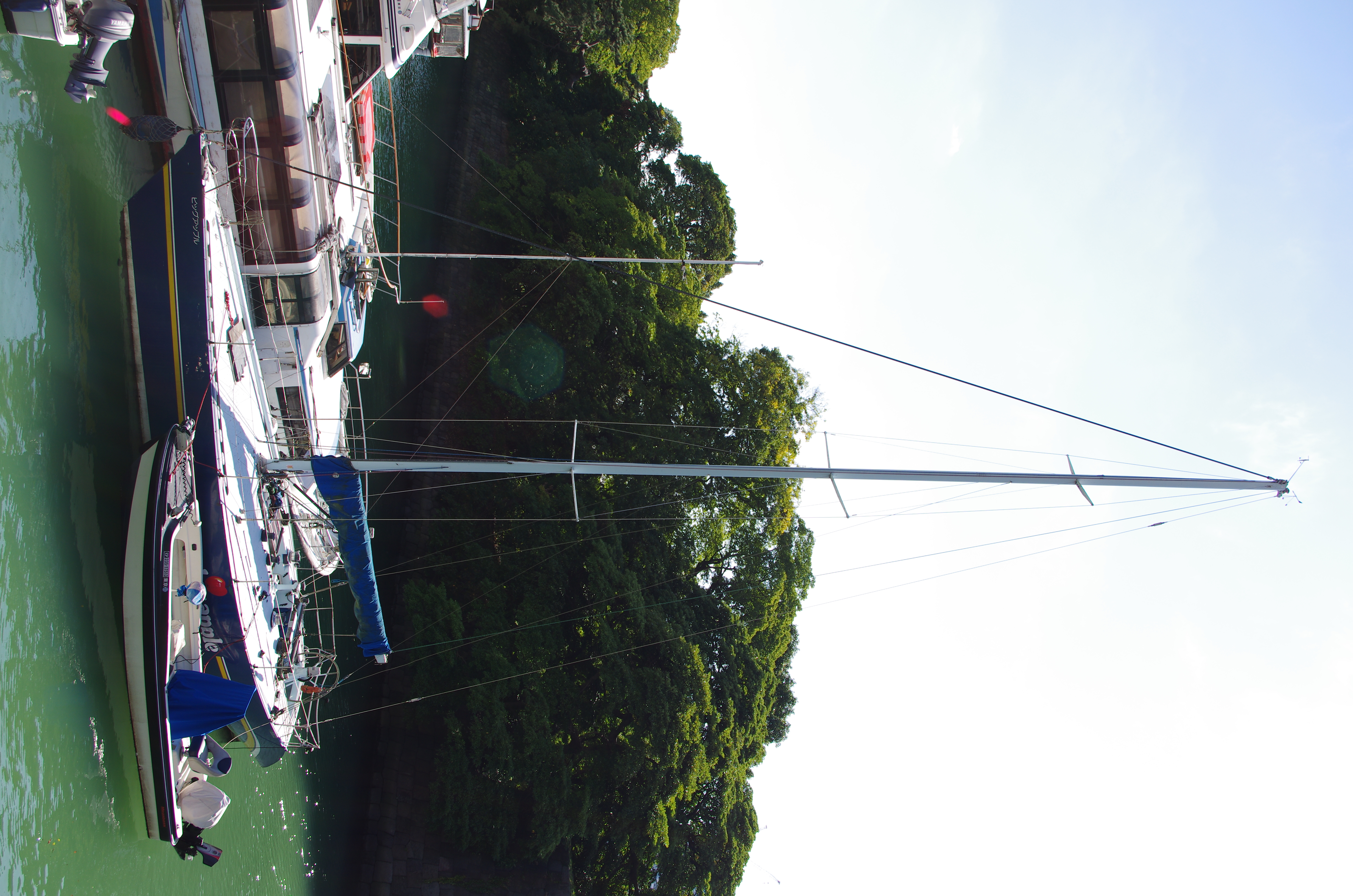 <b>K-5 / DA 18-55mm F3.5-5.6 AL WR / 約8.3MB / 3,264×4,928 / 1/200秒 / F7.1 / -0.3EV / ISO100 / WB:オート / 23.1mm</b>