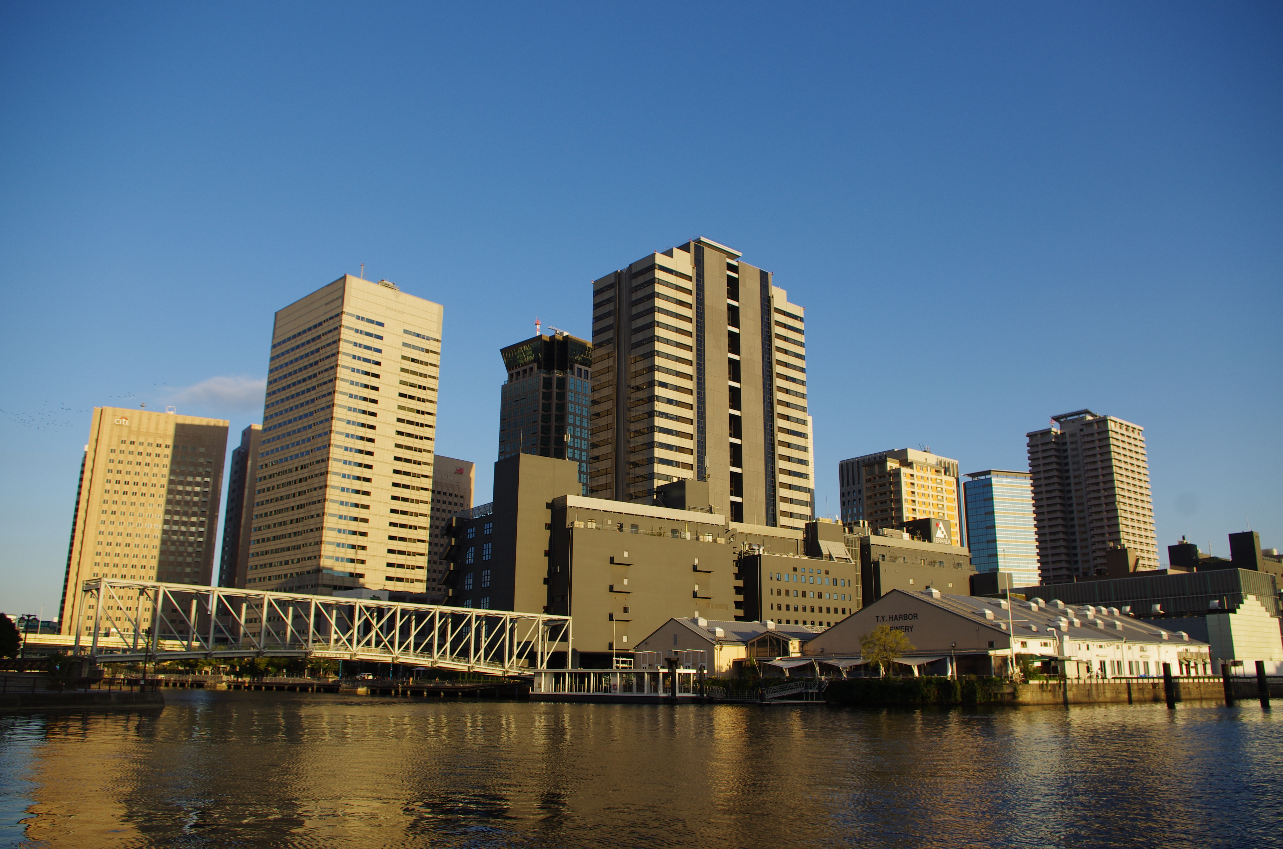 <b>K-5 / DA 18-55mm F3.5-5.6 AL WR / 約11.0MB / 4,928×3,264 / 1/250秒 / F7.1 / 0.0EV / ISO100 / WB:太陽光/ 18mm</b>