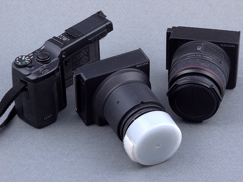 <b>もちろん、GXRのシステムの特長を生かして、ユニットごとの交換もできる。特にファームアップでAF性能がアップしたA12 50mm F2.5 MACROと組み合わせると、多彩なマクロ撮影が楽しめる<a href="http://dc.watch.impress.co.jp/docs/review/labo/20100924_392114.html"><u>（ぼくのA12ユニットは改造品）</u></a></b>