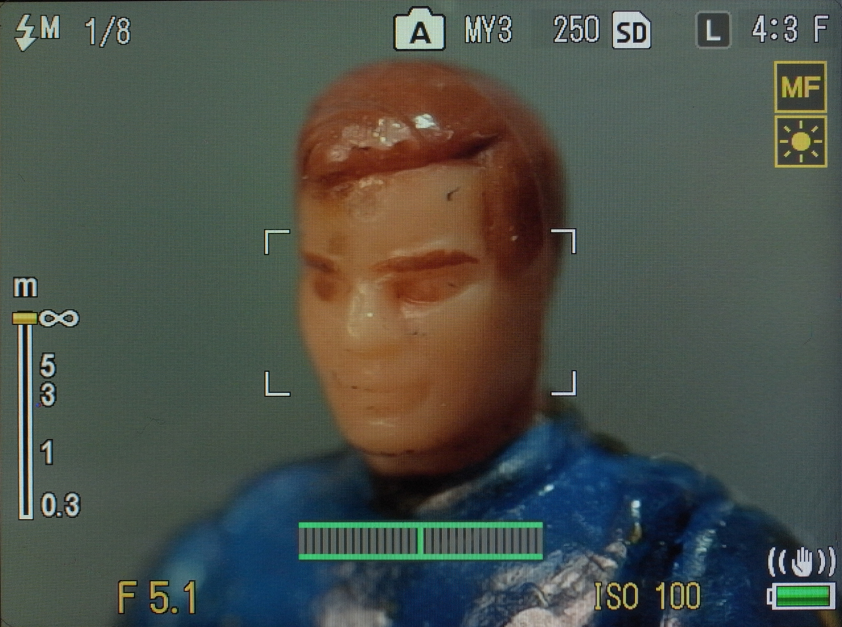 <b>ズーム倍率を変えると、撮影倍率も変わる。ただし、200mm相当未満では絞りを変更することができない。たとえ絞り値を変えても、実際はNDフィルターが掛かるだけなので、被写界深度は変わらない。これはP10 28-300mm F3.5-5.6 VCユニット独自の特徴である</b>