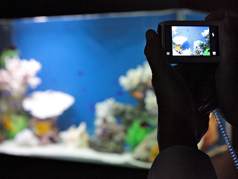 <b>EOSのほか、PowerShot S95やIXY 30SのHSシステムを使った高感度撮影を体験できるブースもあった。写真はIXY 30S</b>