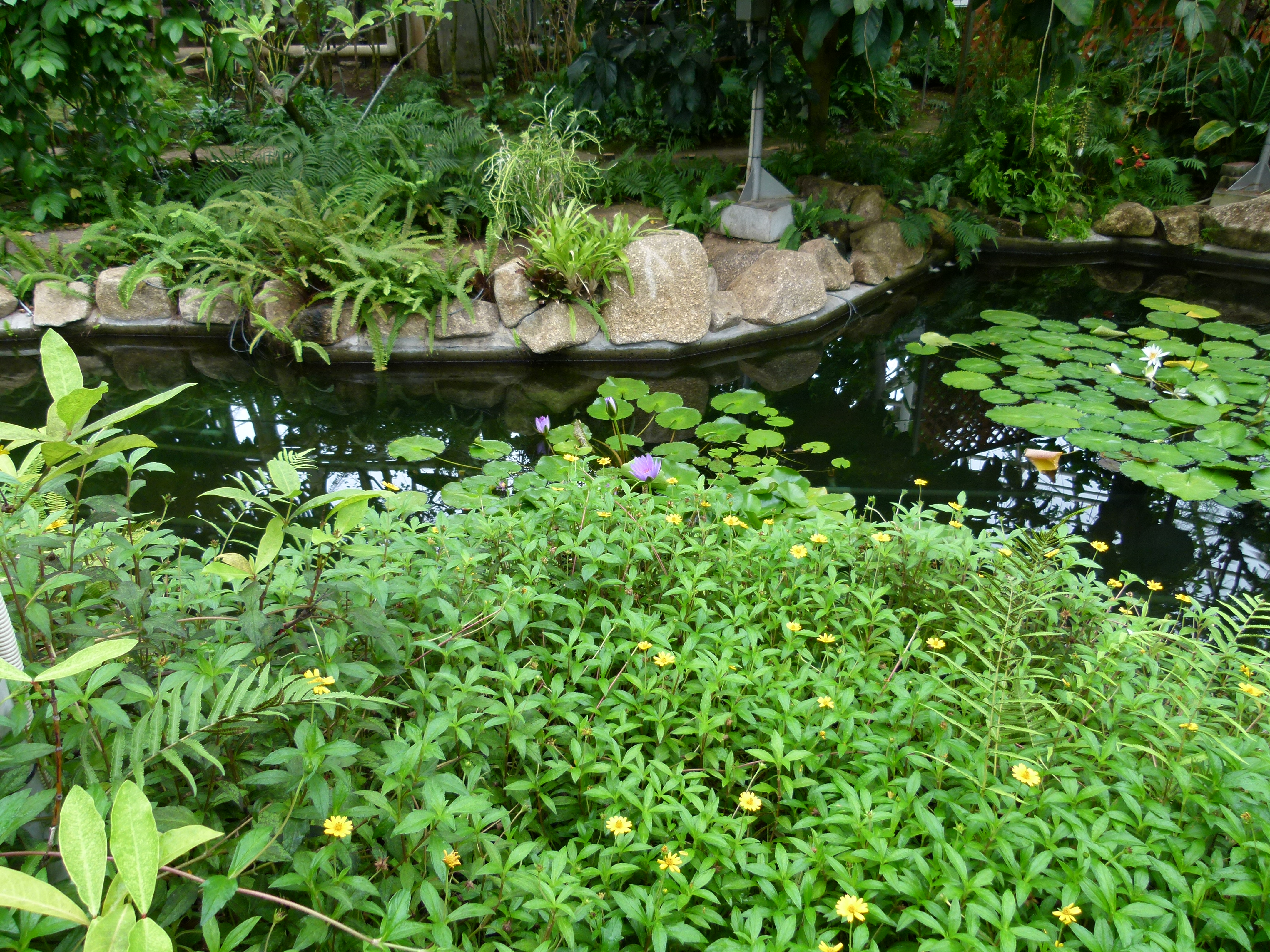 <b>広角端<br>DMC-FZ100 / 約5.3MB / 4,320×3,240 / 1/13秒 / F2.8 / 0.0EV / ISO100 / WB:オート / 4.5mm</b>