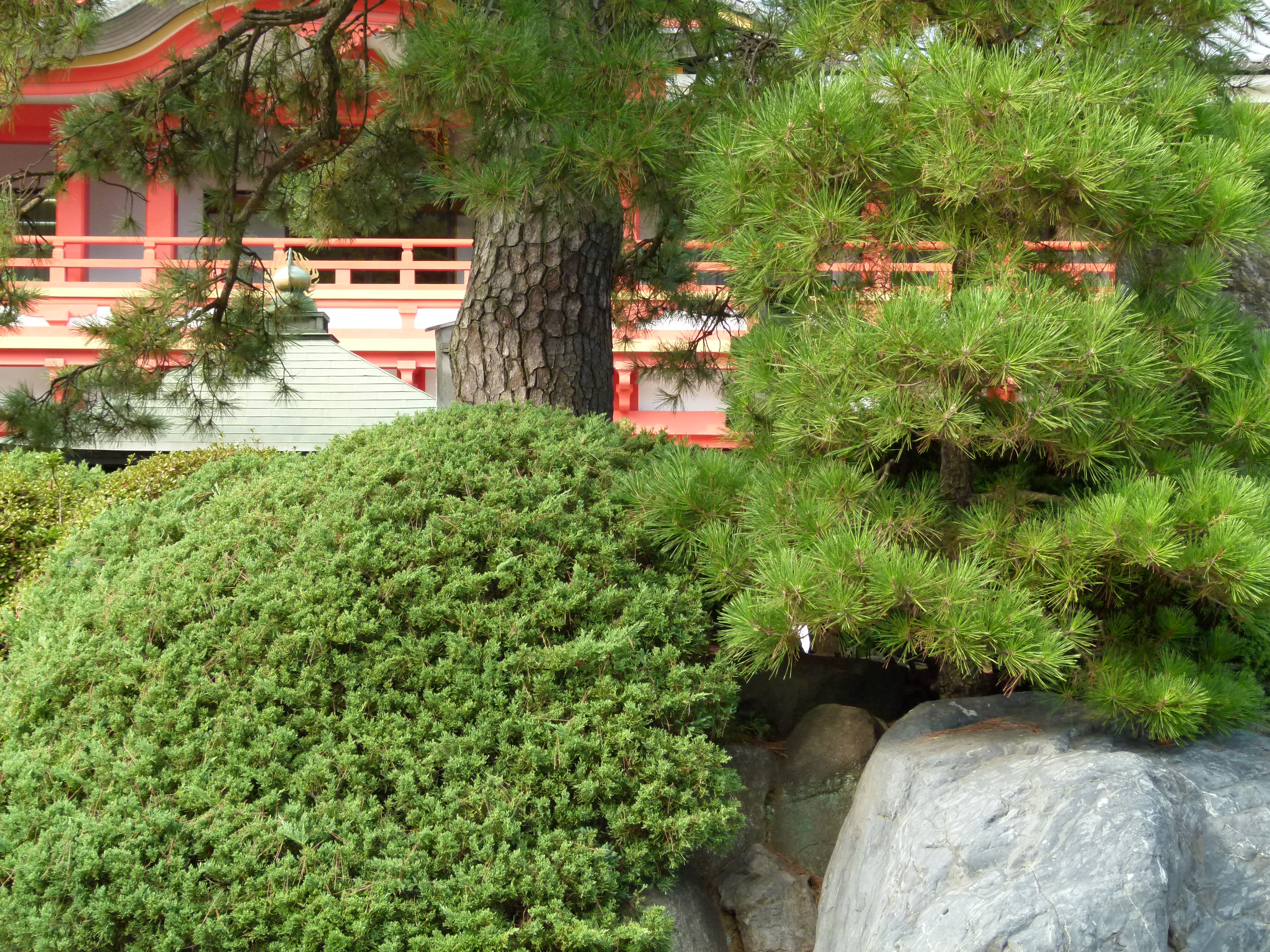 <b>ISO200<br>DMC-FZ100 / 約5.3MB / 4,320×3,240 / 1/160秒 / F4.5 / 0.0EV / WB:晴天 / 10.8mm</b>