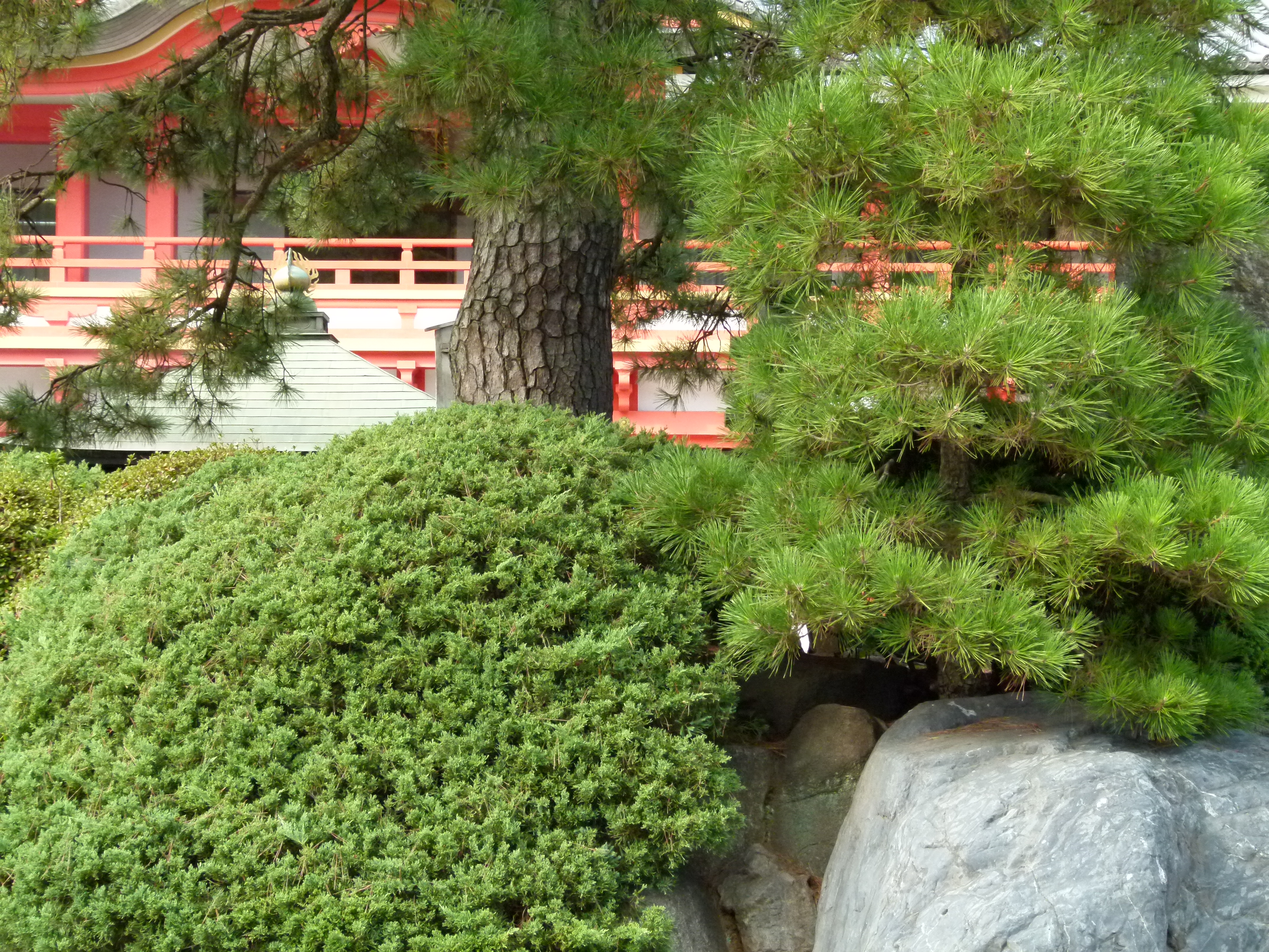 <b>ISO400<br>DMC-FZ100 / 約5.4MB / 4,320×3,240 / 1/320秒 / F4.5 / 0.0EV / WB:晴天 / 10.8mm</b>