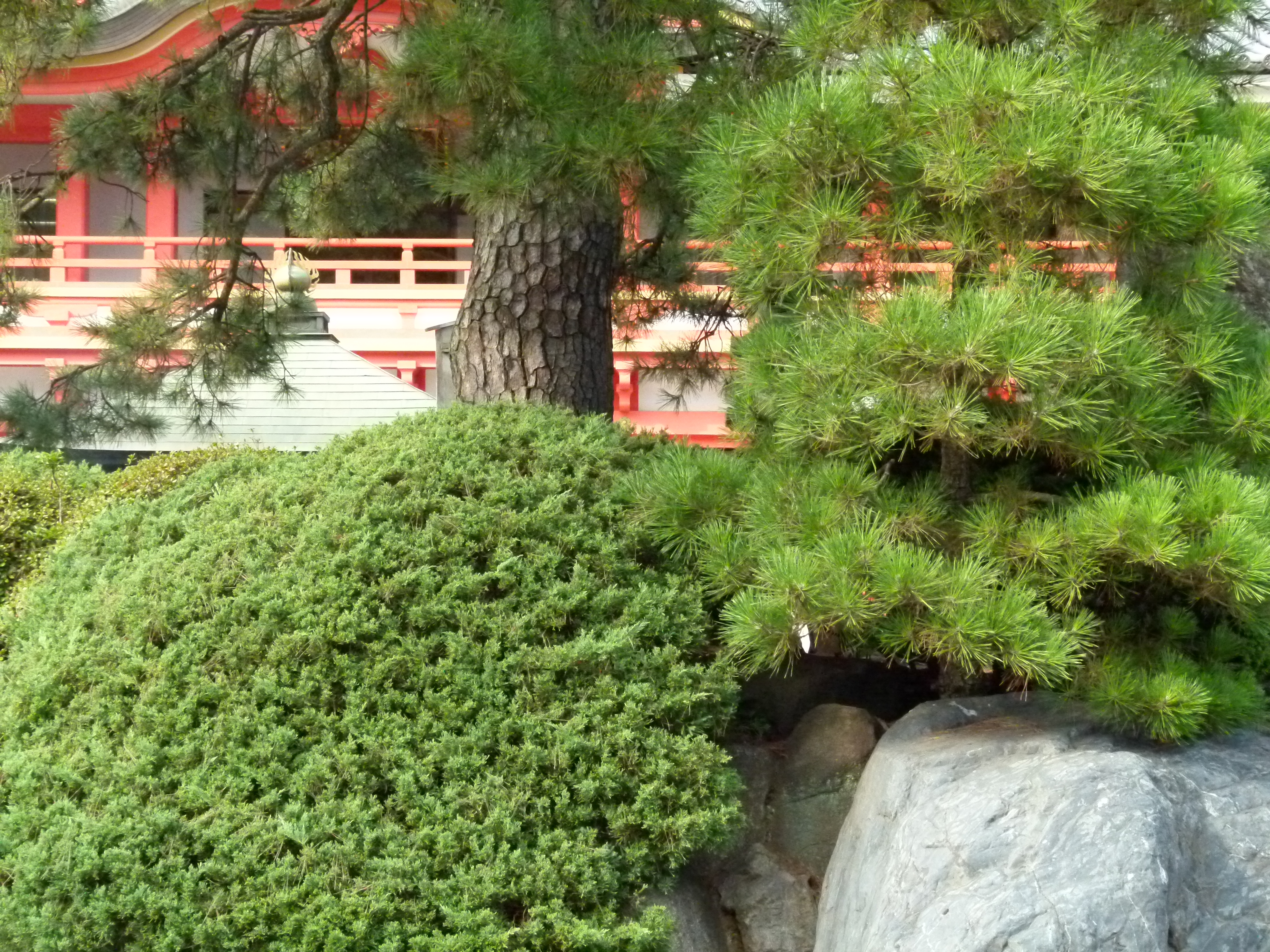 <b>ISO800<br>DMC-FZ100 / 約5.3MB / 4,320×3,240 / 1/640秒 / F4.5 / 0.0EV / WB:晴天 / 10.8mm</b>