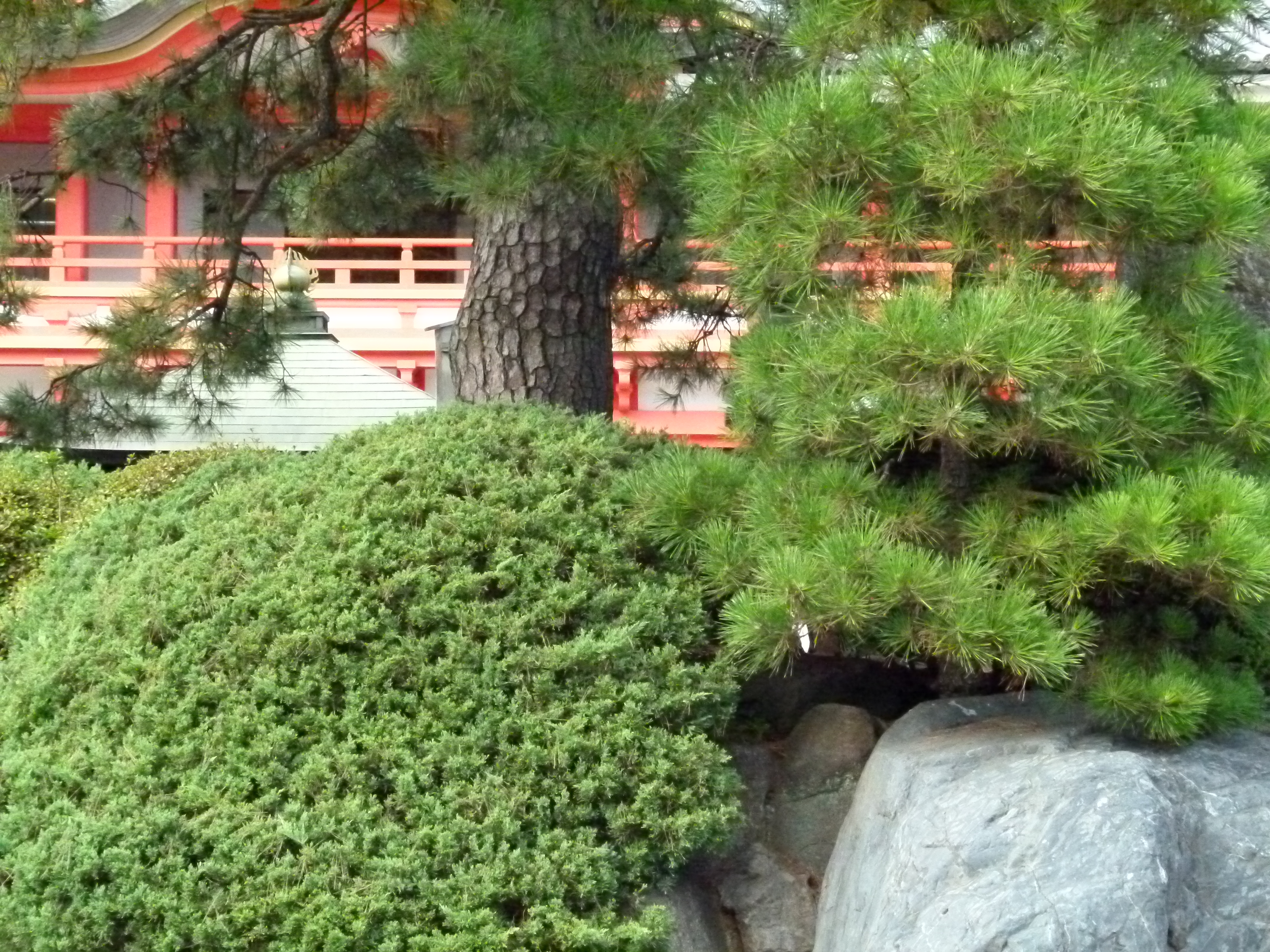 <b>ISO1600<br>DMC-FZ100 / 約6.0MB / 4,320×3,240 / 1/1,300秒 / F4.5 / 0.0EV / WB:晴天 / 10.8mm</b>