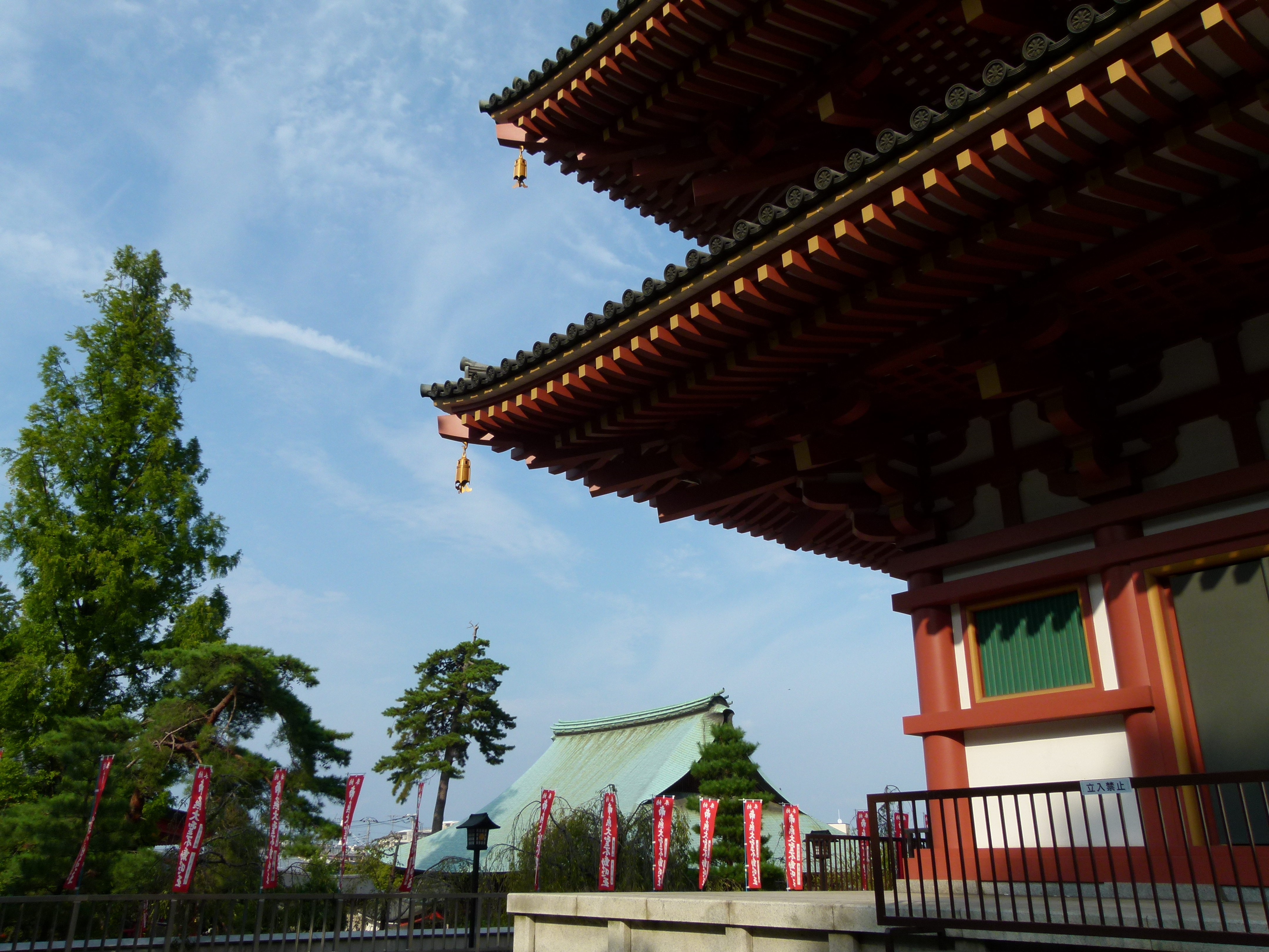 <b>フィルムモード:スタンダード<br>DMC-FZ100 / 約5.3MB / 4,320×3,240 / 1/800秒 / F4 / -0.3EV / ISO100 / WB:オート / 4.7mm</b>