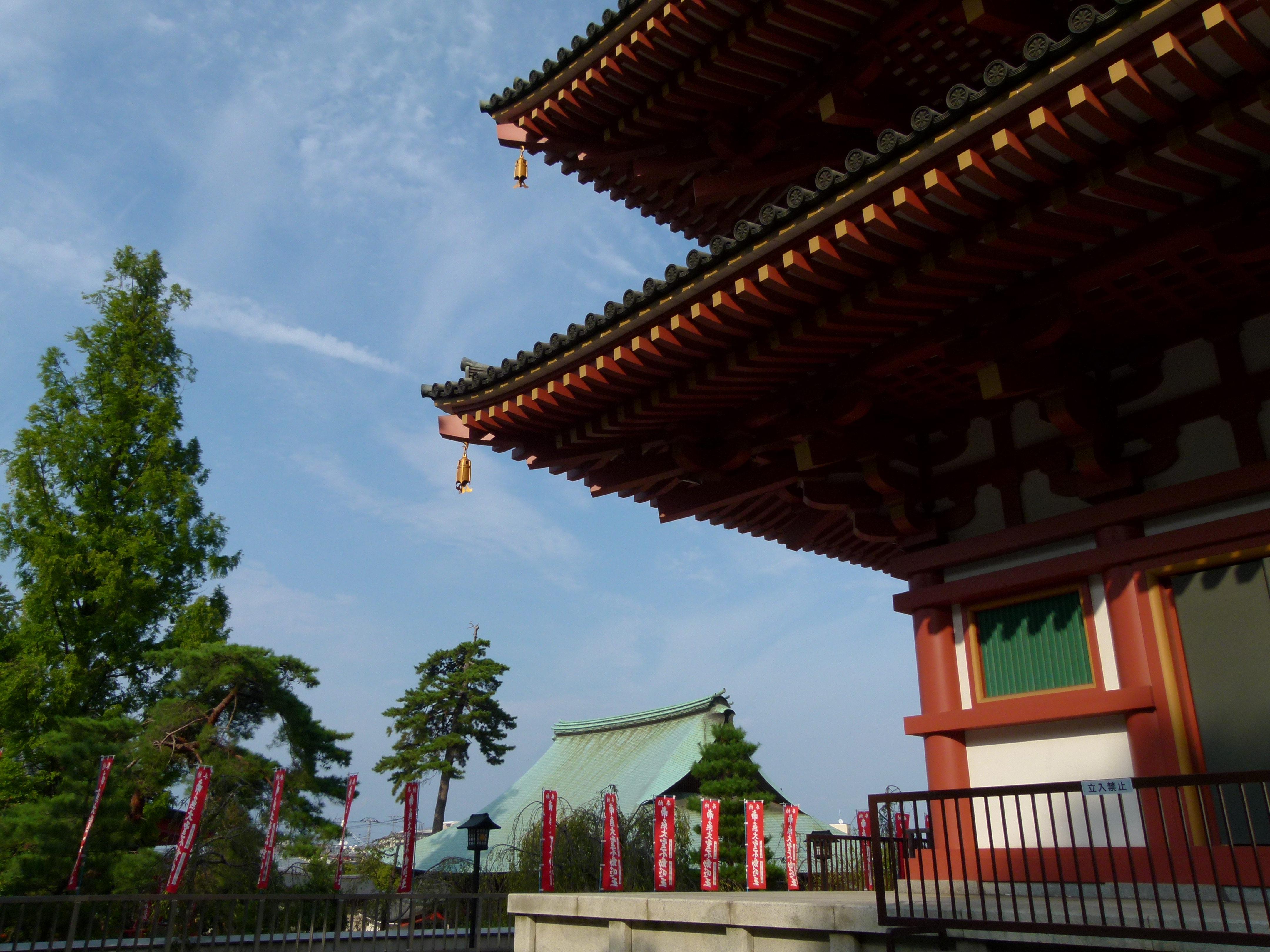 <b>フィルムモード:スムーズ<br>DMC-FZ100 / 約5.2MB / 4,320×3,240 / 1/1,000秒 / F4 / -0.3EV / ISO100 / WB:オート / 4.7mm</b>