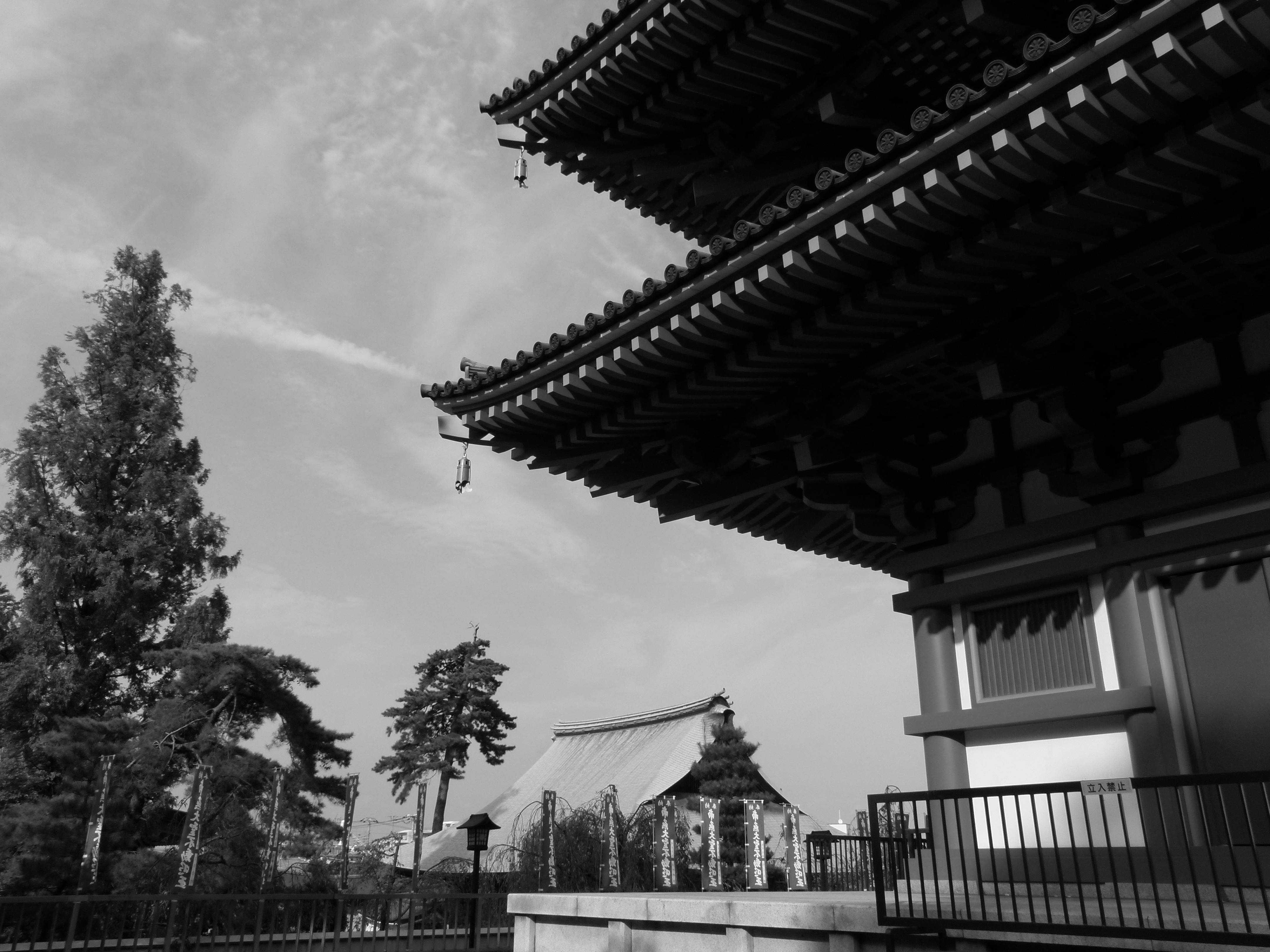 <b>フィルムモード:スタンダードB&amp;W<br>DMC-FZ100 / 約4.9MB / 4,320×3,240 / 1/800秒 / F4 / -0.3EV / ISO100 / WB:オート / 4.7mm</b>