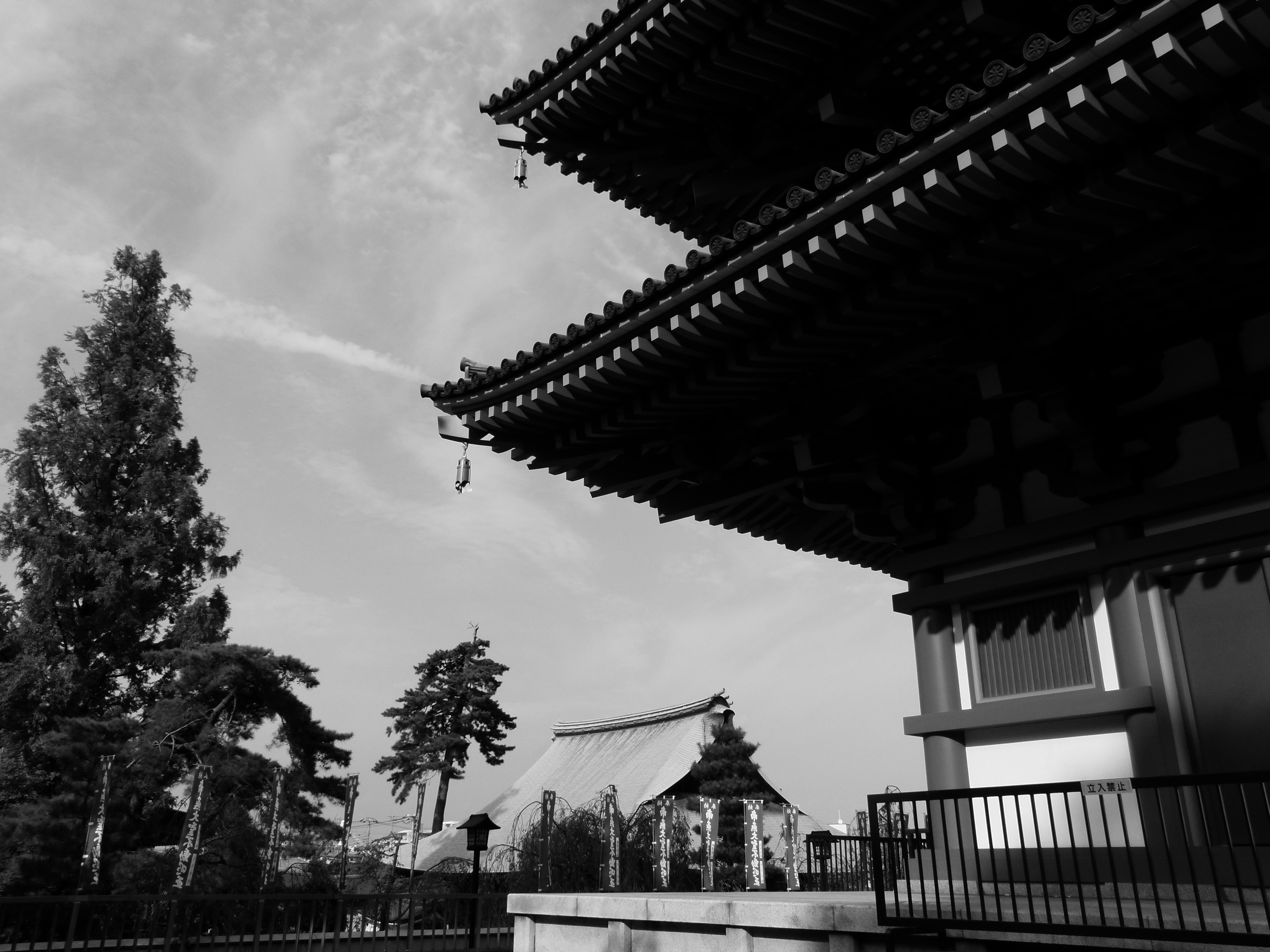 <b>フィルムモード:ダイナミックB&amp;W<br>DMC-FZ100 / 約4.8MB / 4,320×3,240 / 1/800秒 / F4 / -0.3EV / ISO100 / WB:オート / 4.7mm</b>