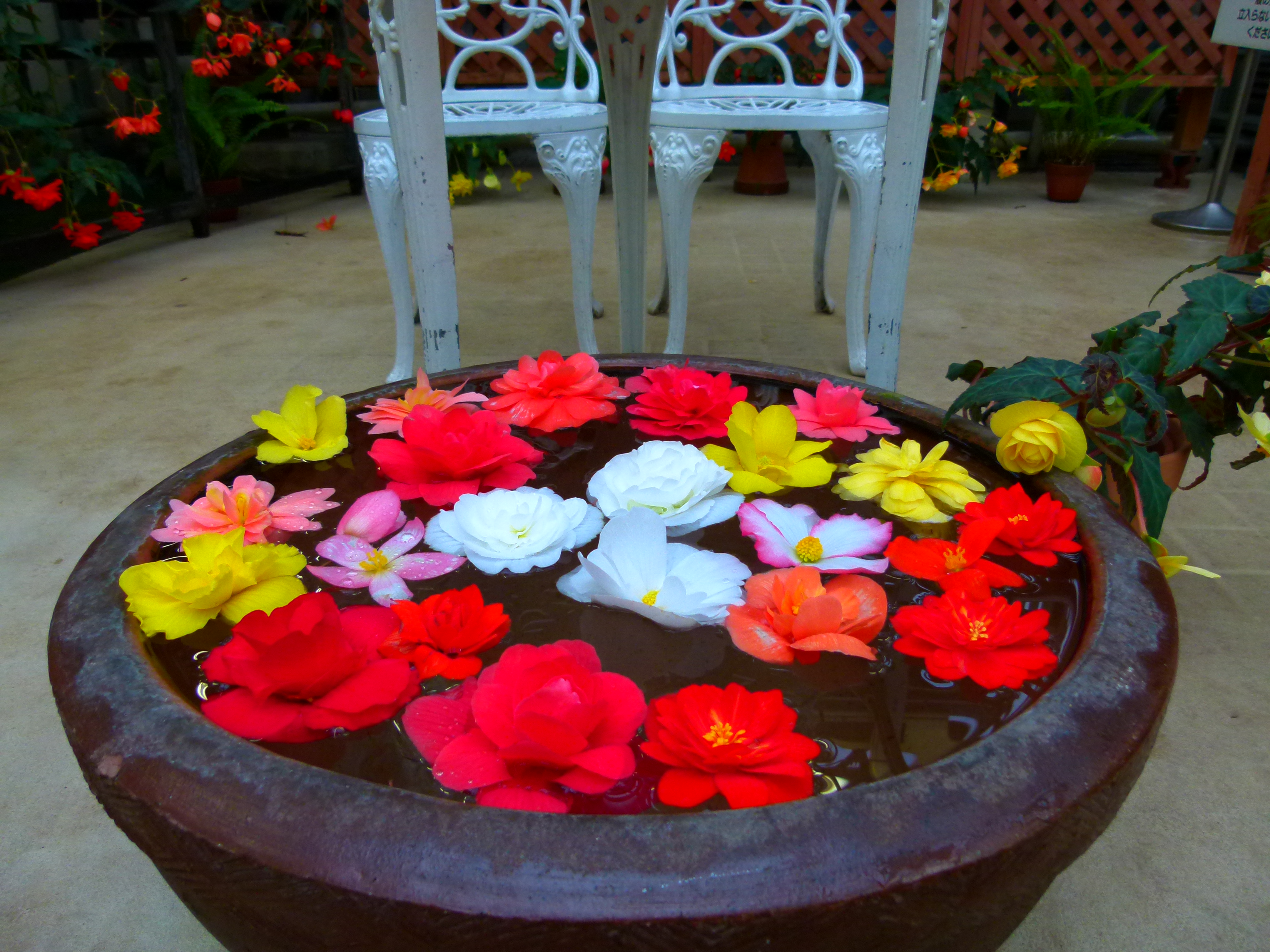 <b>ポップ<br>DMC-FZ100 / 約5.4MB / 4,320×3,240 / 1/60秒 / F2.8 / 0.0EV / ISO250 / WB:オート / 4.5mm</b>