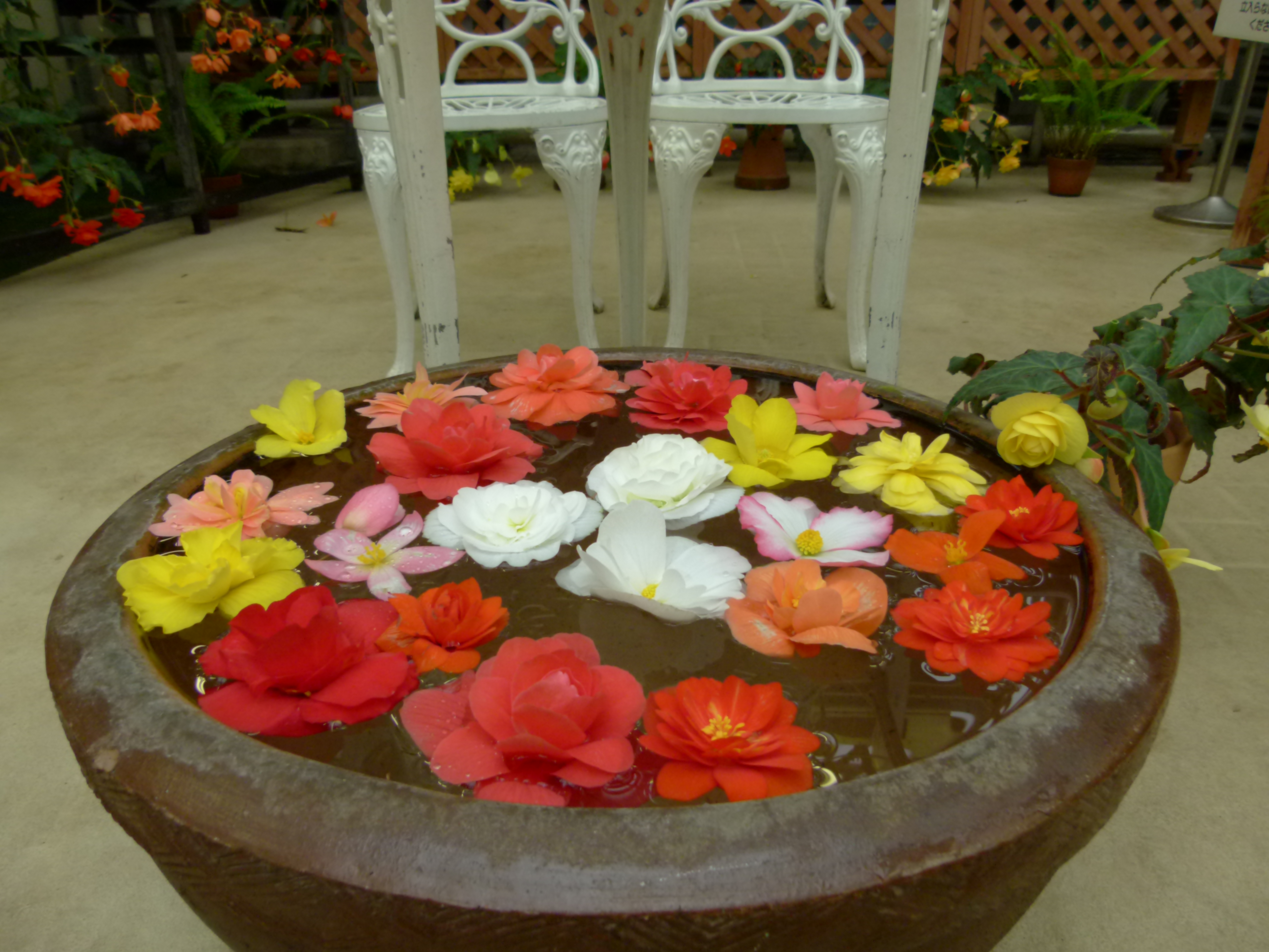 <b>レトロ<br>DMC-FZ100 / 約4.3MB / 4,320×3,240 / 1/60秒 / F2.8 / 0.0EV / ISO200 / WB:オート / 4.5mm</b>