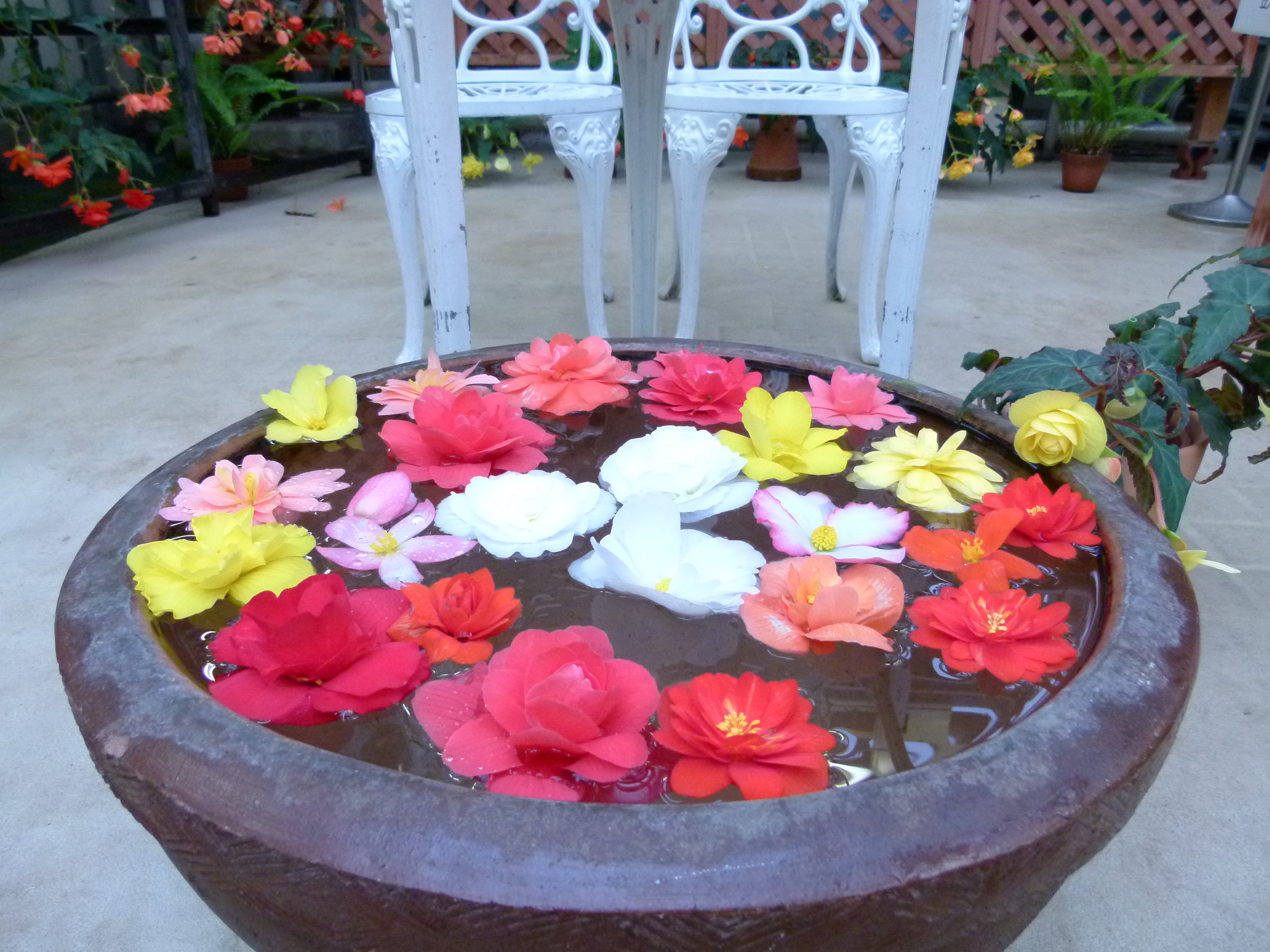 <b>ピュア<br>DMC-FZ100 / 約5.3MB / 4,320×3,240 / 1/60秒 / F2.8 / 0.0EV / ISO400 / WB:オート / 4.5mm</b>