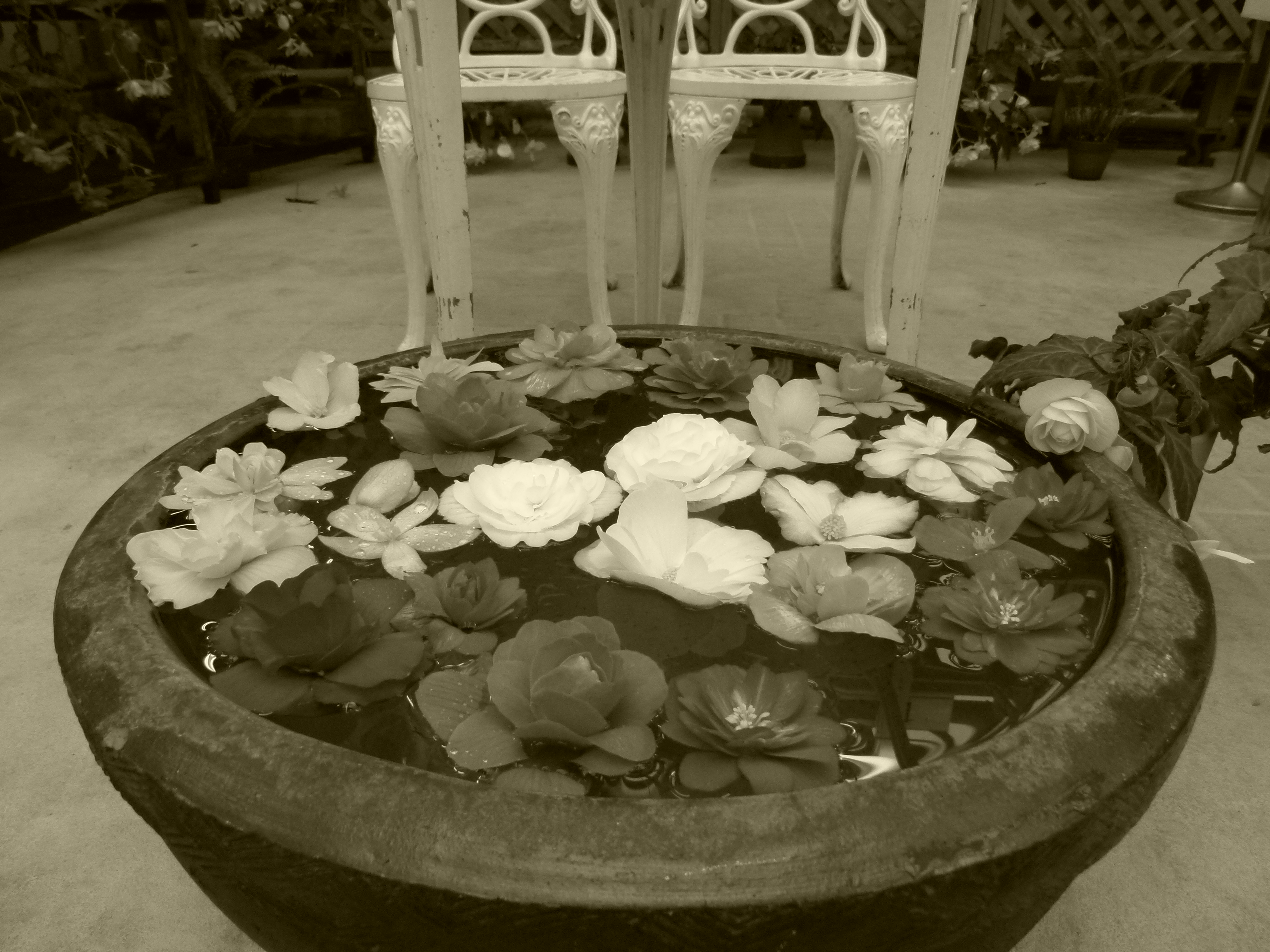 <b>モノクローム<br>DMC-FZ100 / 約5.2MB / 4,320×3,240 / 1/60秒 / F2.8 / 0.0EV / ISO200 / WB:オート / 4.5mm</b>