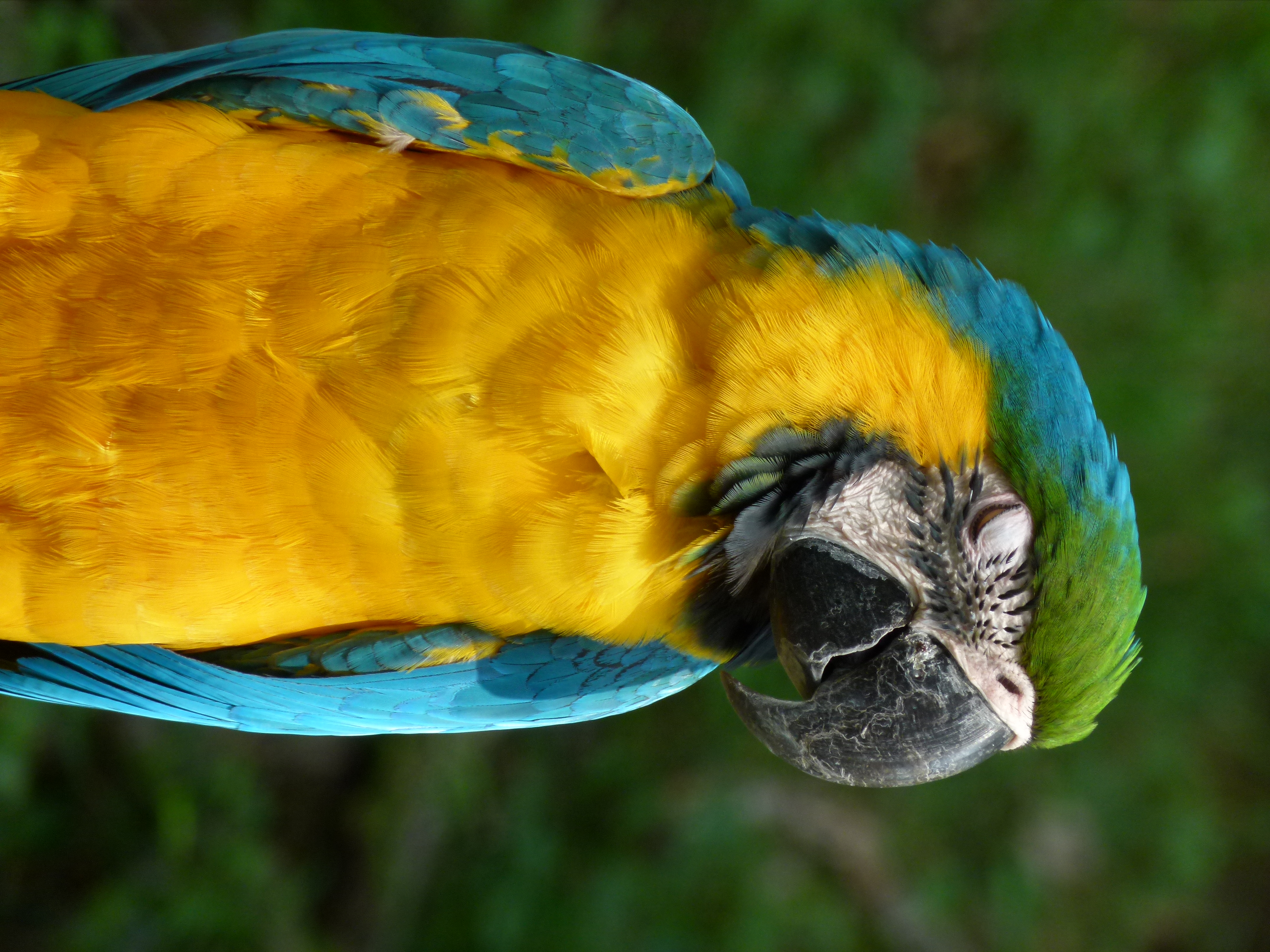 <b>DMC-FZ100 / 約5.2MB / 3,240×4,320 / 1/125秒 / F5.2 / 0.0EV / ISO160 / WB:オート / 108mm</b>