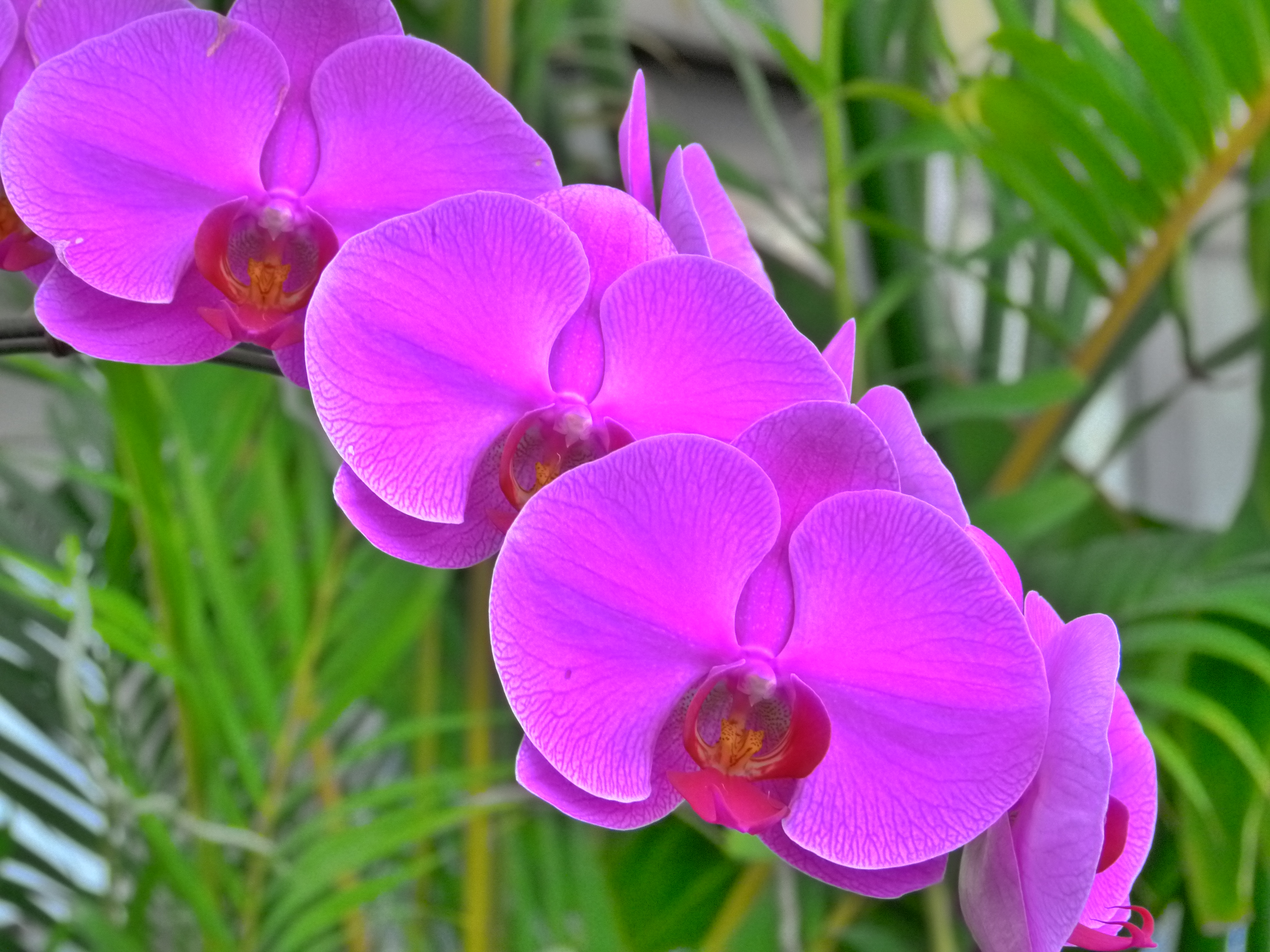 <b>DMC-FZ100 / 約5.3MB / 4,320×3,240 / 1/6秒 / F3.5 / 0.0EV / ISO400 / WB:オート / 18.2mm</b>