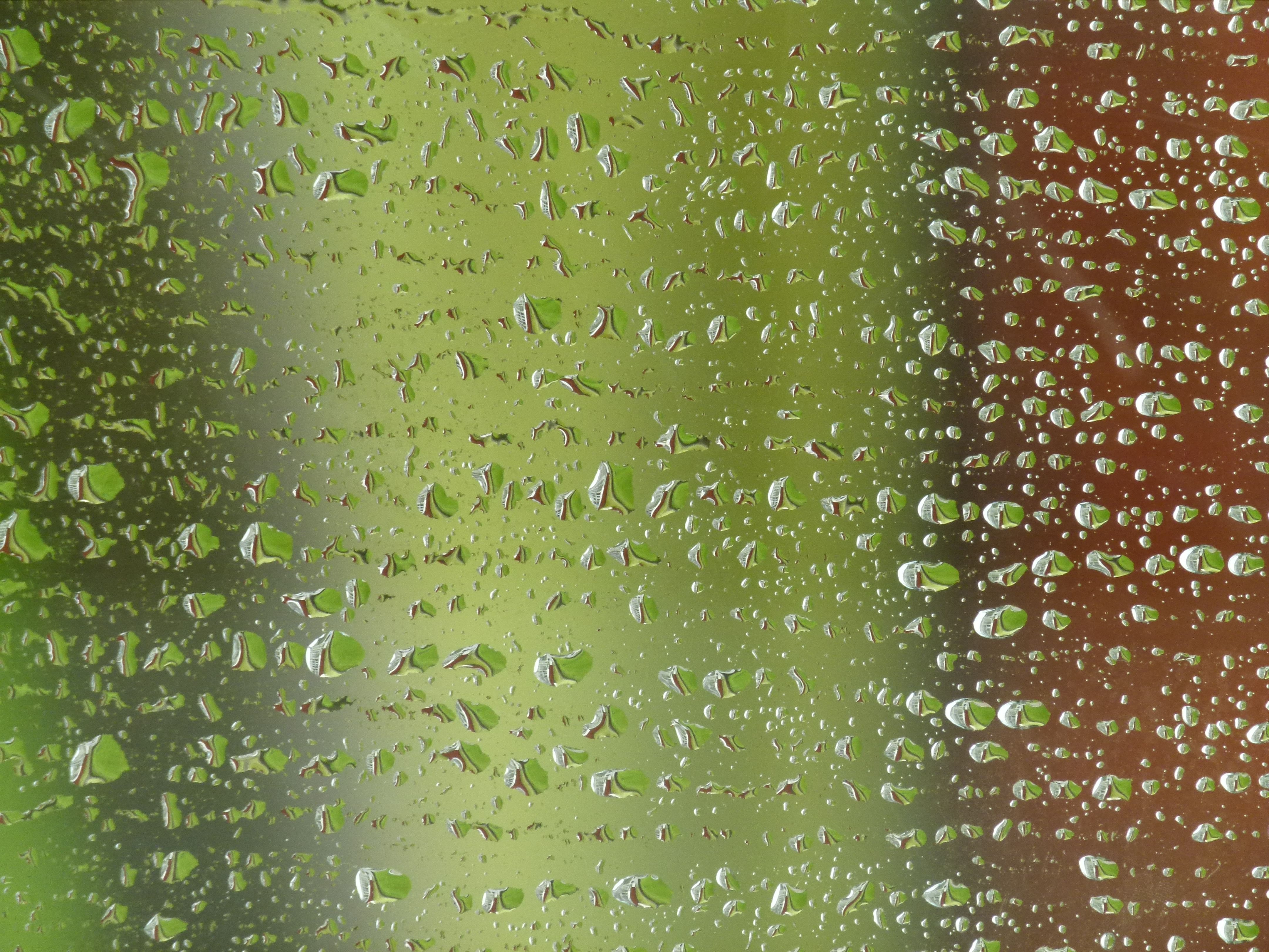 <b>DMC-FZ100 / 約5.5MB / 3,240×4,320 / 1/40秒 / F5.2 / 0.0EV / ISO200 / WB:曇り / 108mm</b>