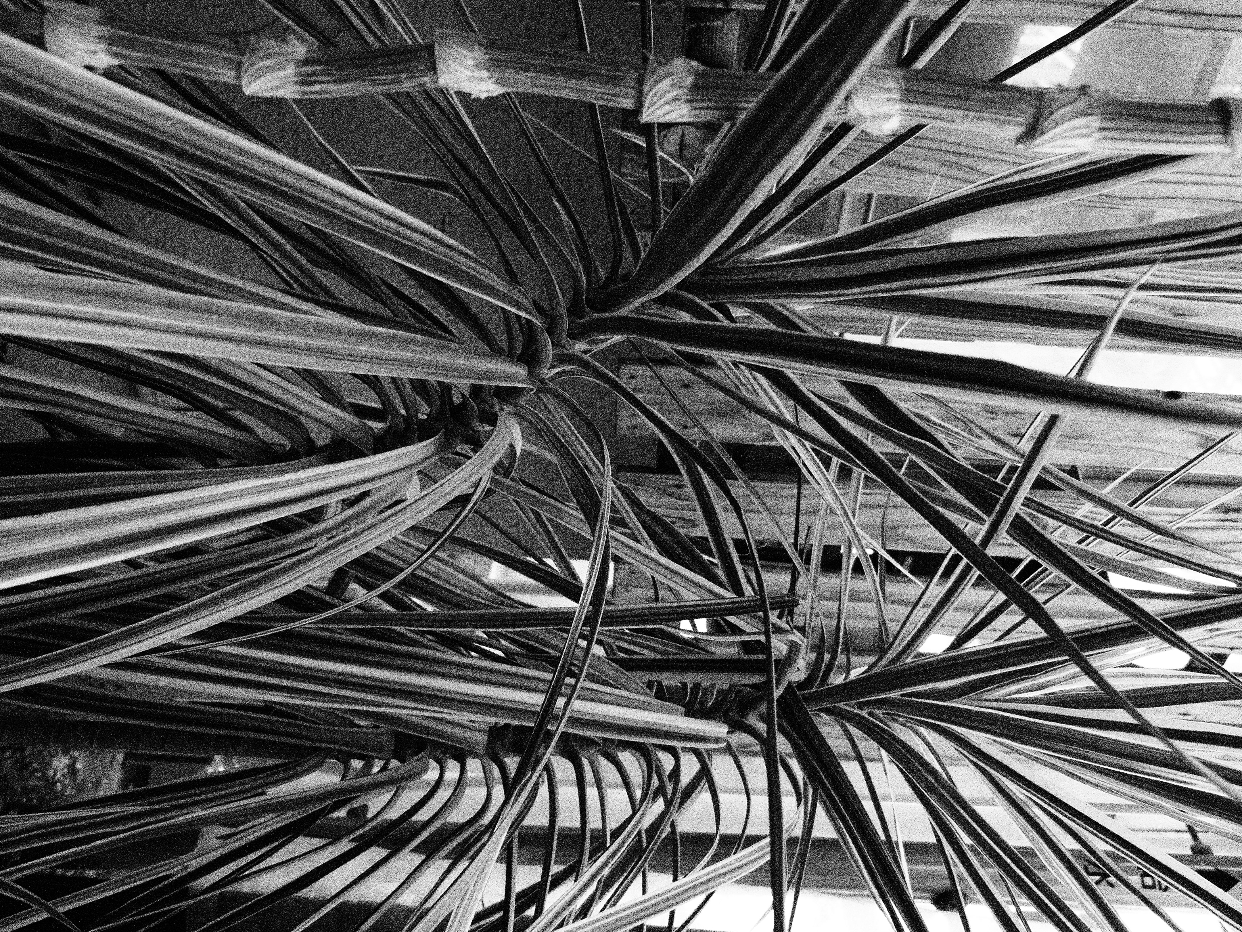 <b>DMC-FZ100 / 約5.7MB / 3,240×4,320 / 1/80秒 / F2.8 / 0.0EV / ISO1600 / WB:オート / 4.5mm（サンドブラスト）</b>