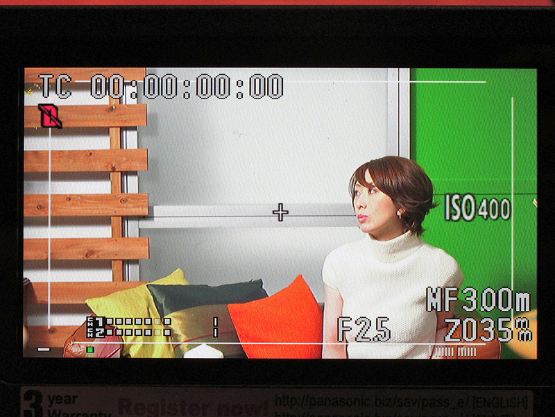 <b>液晶モニターの表示例</b>