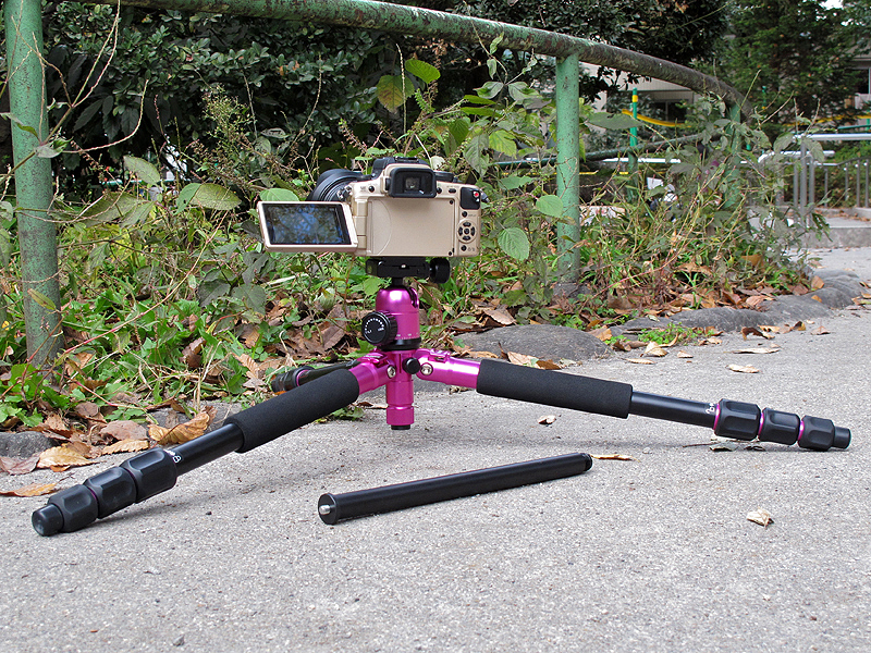 <b>センターポールを外すことでローポジションにセットできる</b>