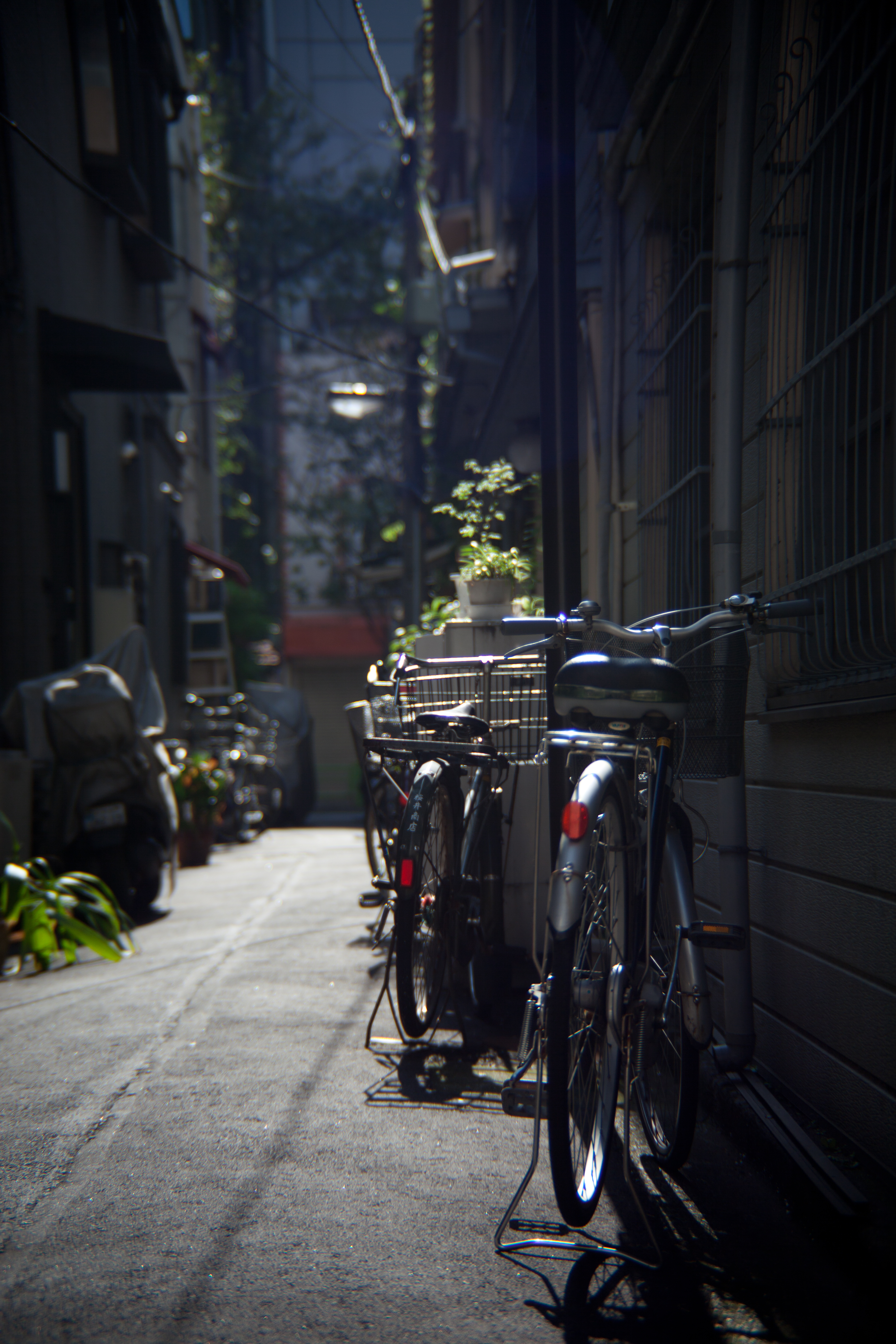 <b>EOS 5D Mark II / ズーマー36-82mm F2.8 / 5,616×3,744 / 1/640秒 / F2.8 / -0.67EV / ISO100 / WB:オート / 36-82mm</b>