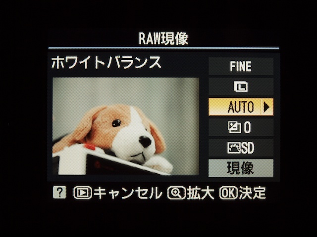<b>RAW現像時の画面（D5000）</b>