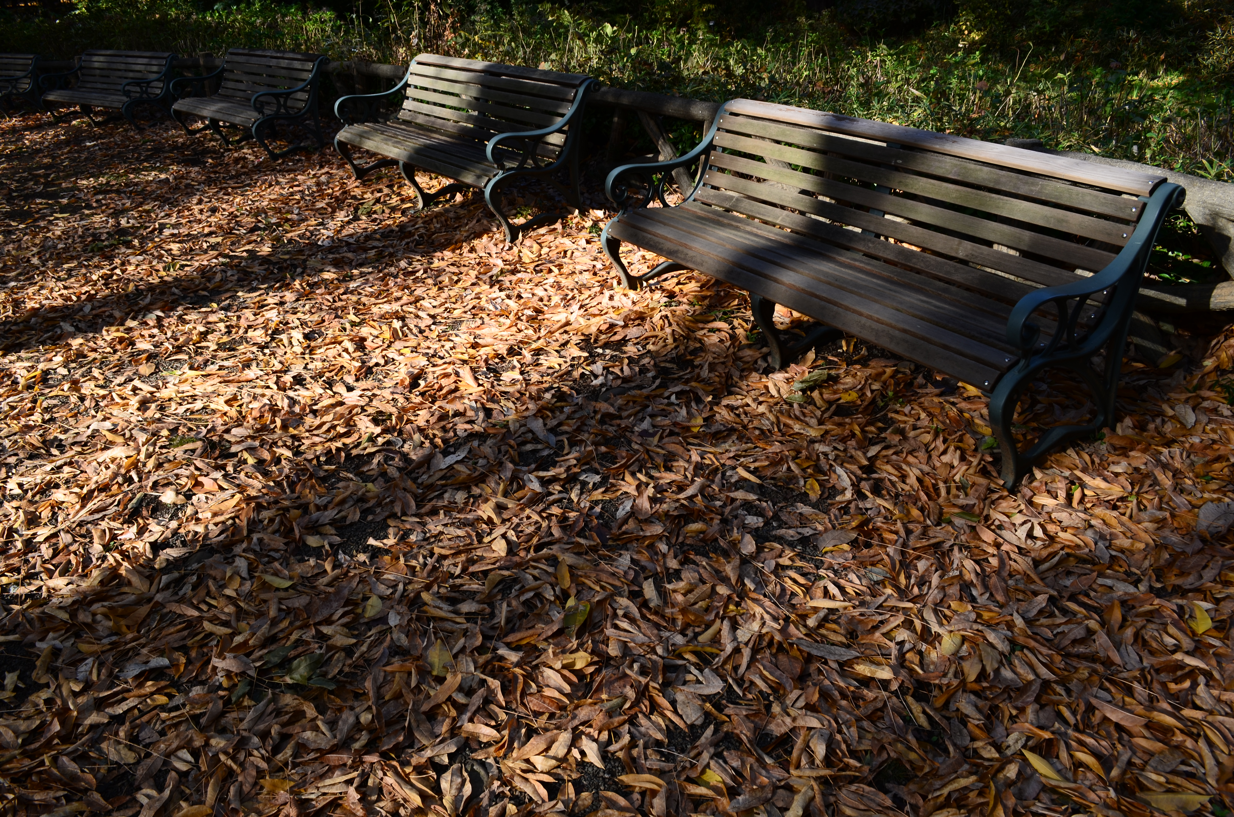 <b>現像画像（JPEG）<br>WB:晴天 / ピクチャーコントール:風景（コントラスト+2） / D-ライティング:しない</b>