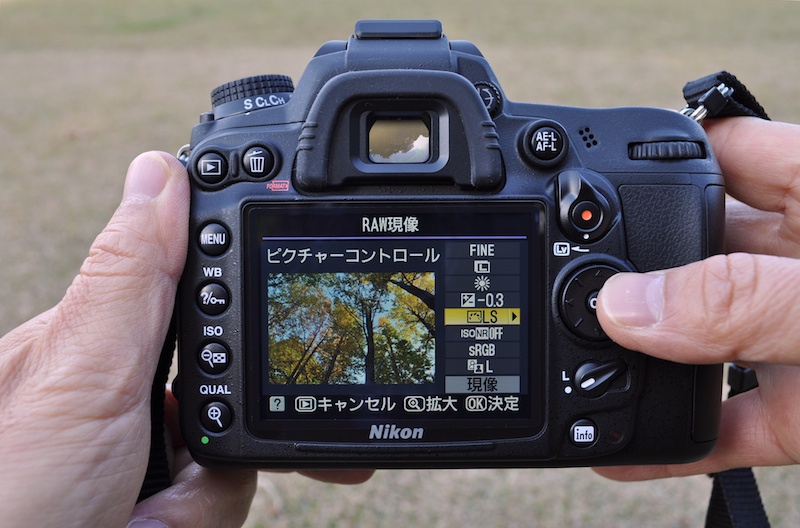 <b>D7000のカメラ内RAW現像機能。今後も使っていきたいと思う</b>
