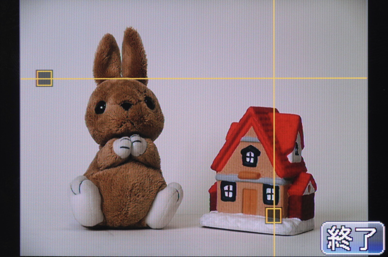 <b>自由に動かせるガイドラインを表示したところ</b>