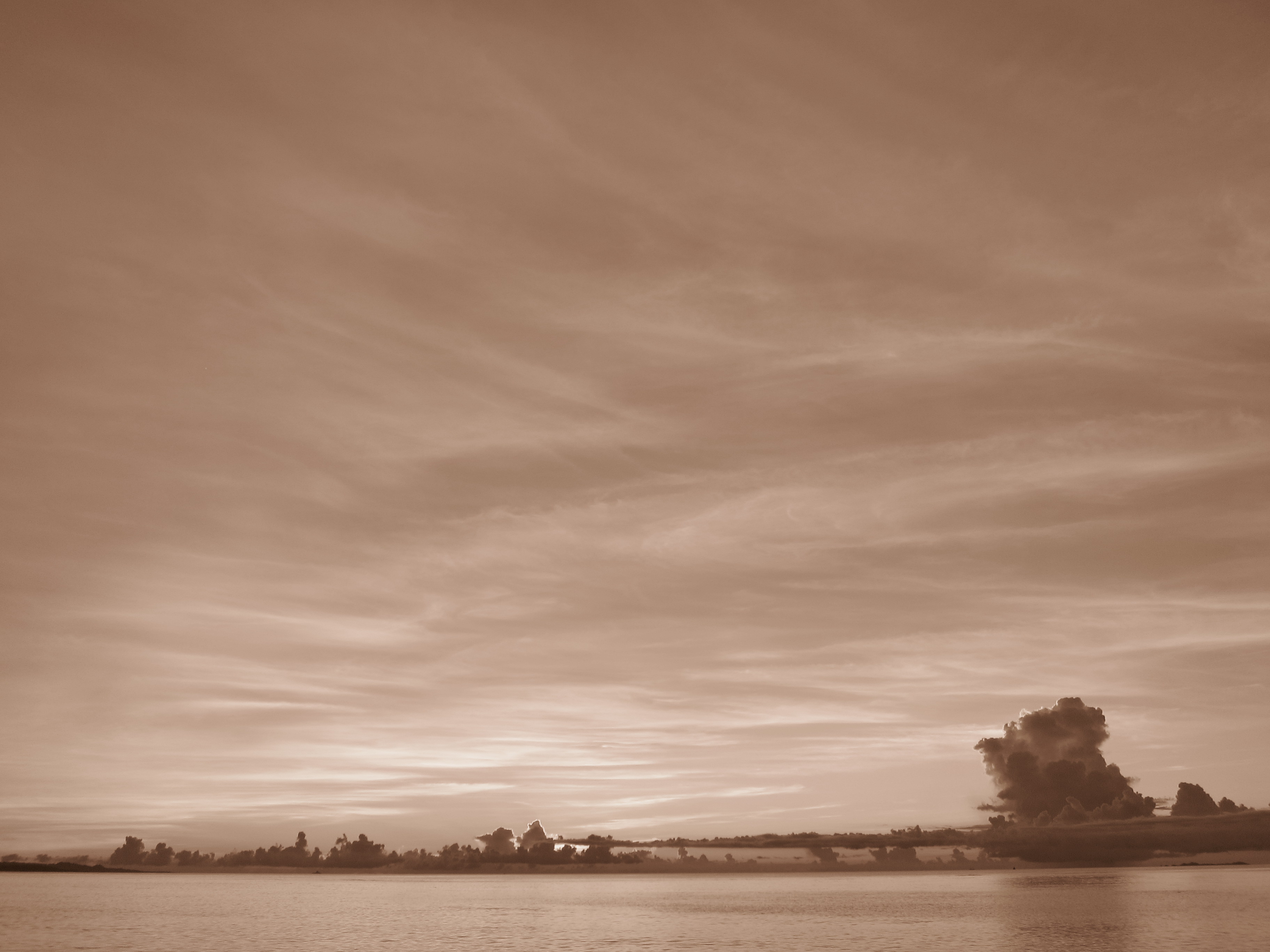 <b>色効果：セピア<br>PowerShot S95 / 約1.2MB / 3,648×2,736 / 1/320秒 / F2.8 / 0.0EV / ISO80 / WB:オート / 6mm</b>