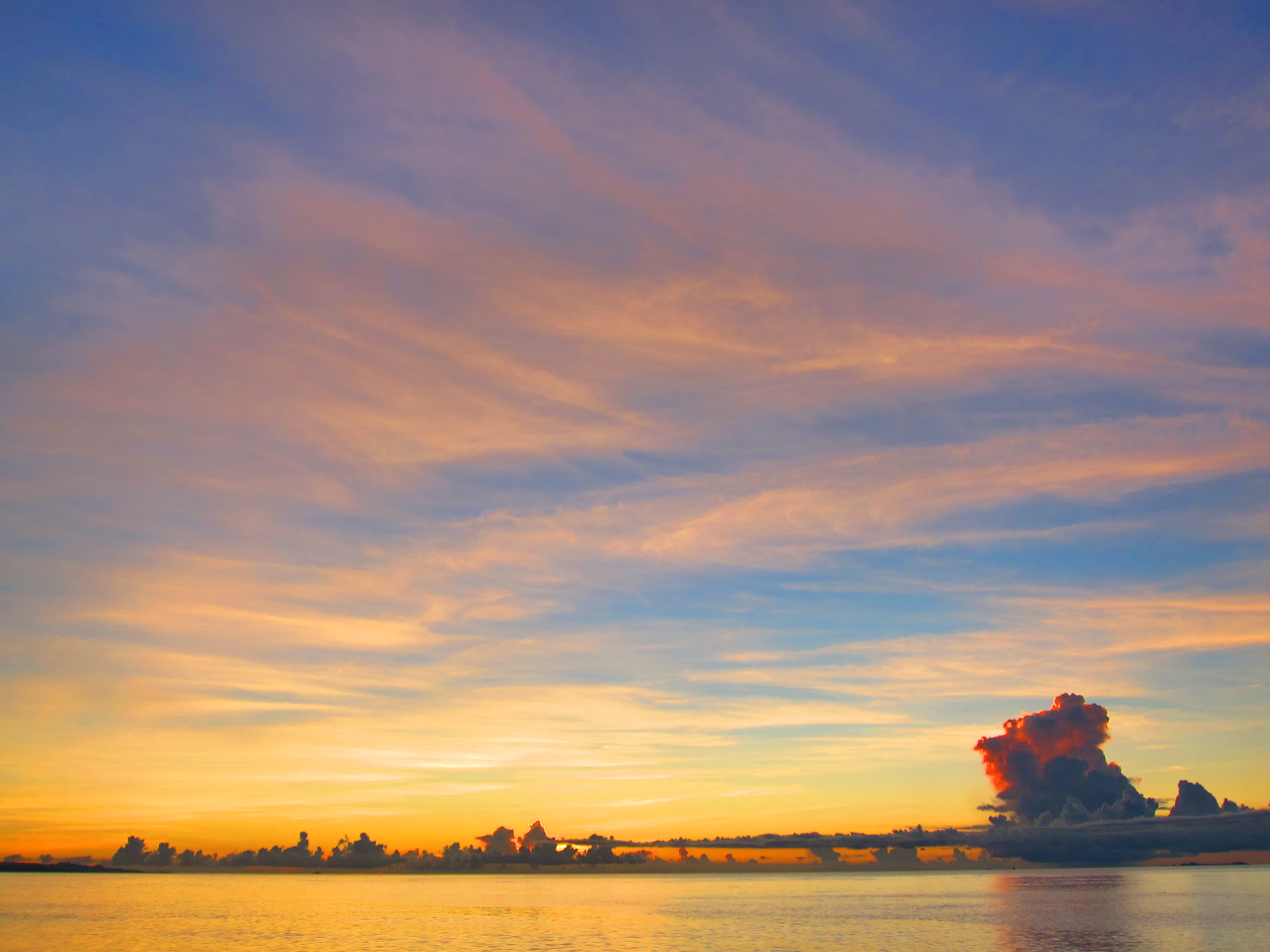 <b>色効果：極彩色<br>PowerShot S95 / 約1.5MB / 3,648×2,736 / 1/320秒 / F2.8 / 0.0EV / ISO80 / WB:オート / 6mm</b>