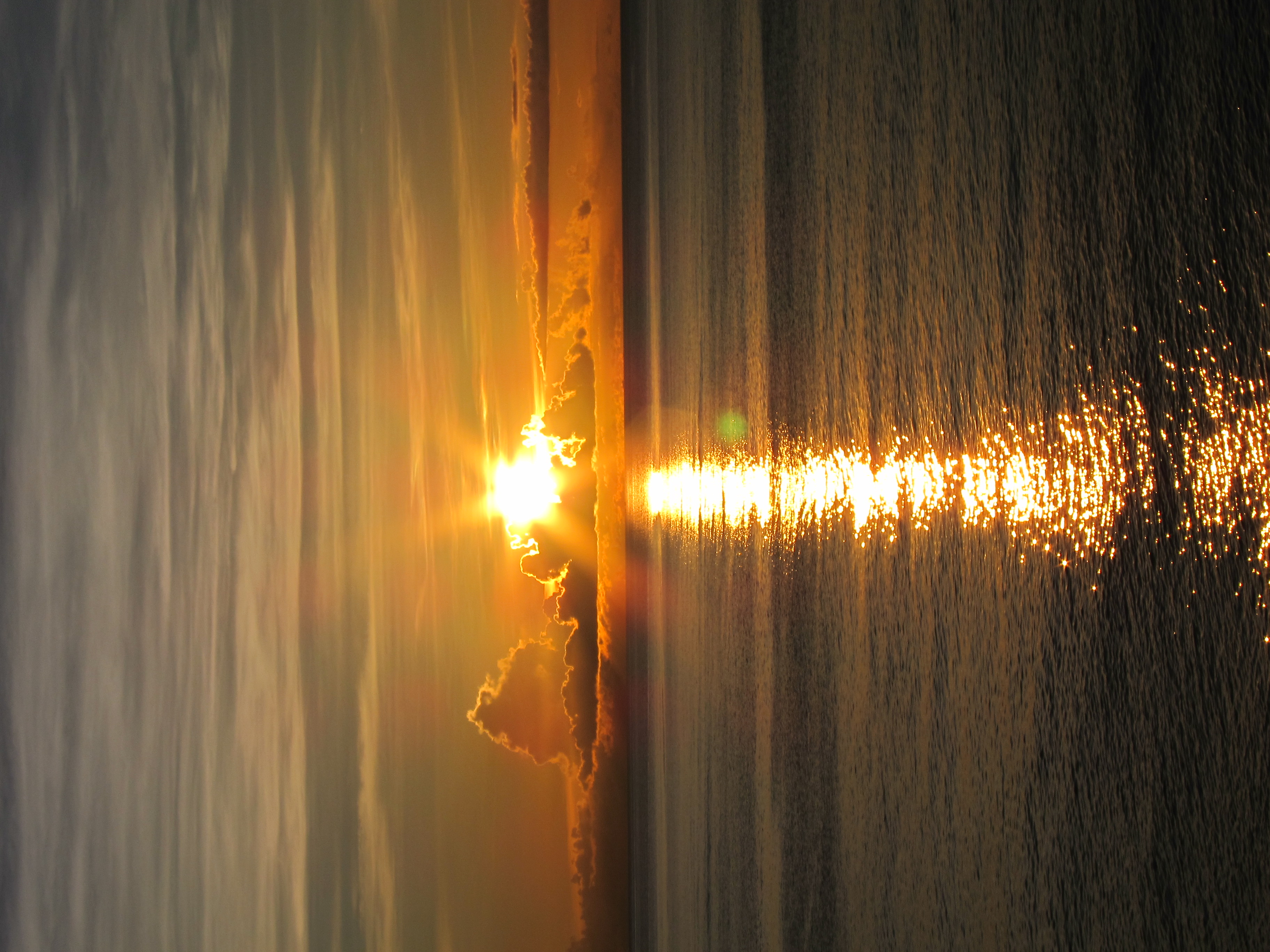 <b>PowerShot S95 / 約2.3MB / 2,736×3,648 / 1/1,000秒 / F8 / 0.0EV / ISO80 / WB:オート / 18.2mm</b>