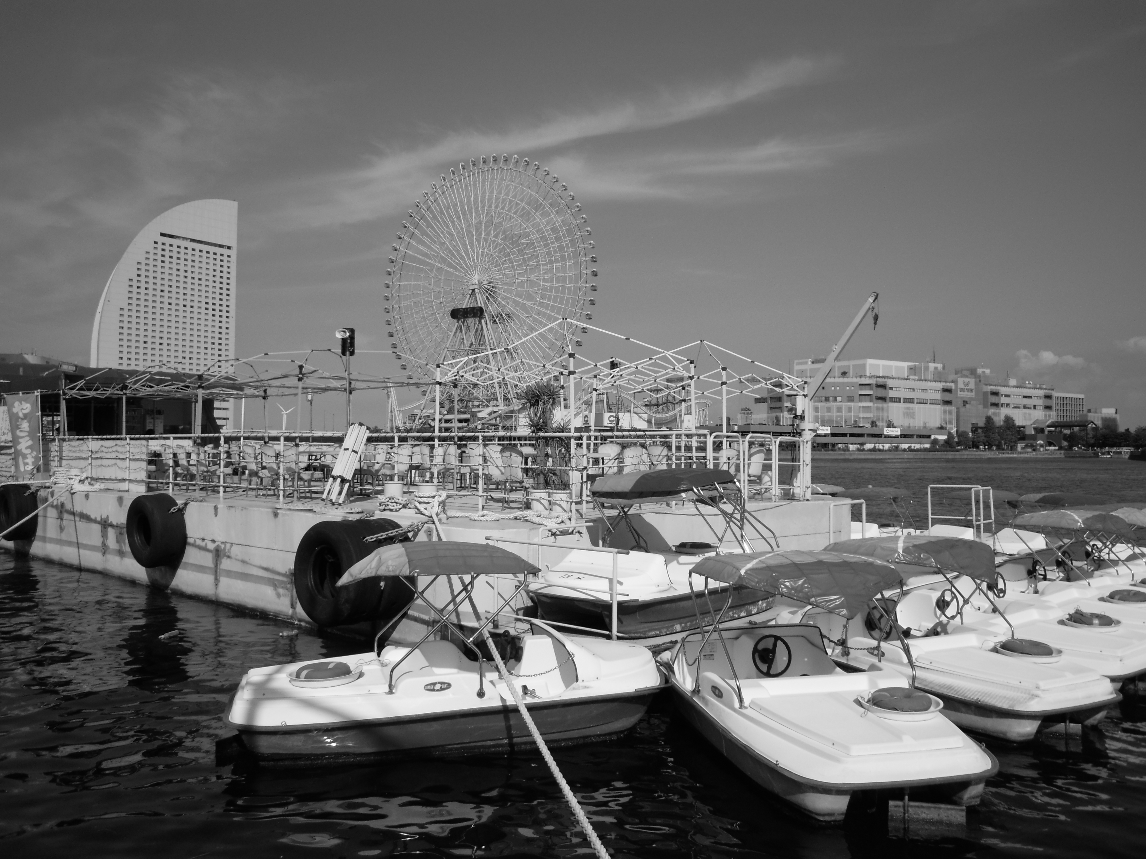 <b>ピクチャーカラー：白黒<br>COOLPIX S5100 / 約3.7MB / 4,000×3,000 / 1/500秒 / F7.6 / 0.0EV / ISO100 / WB:オート / 5mm</b>