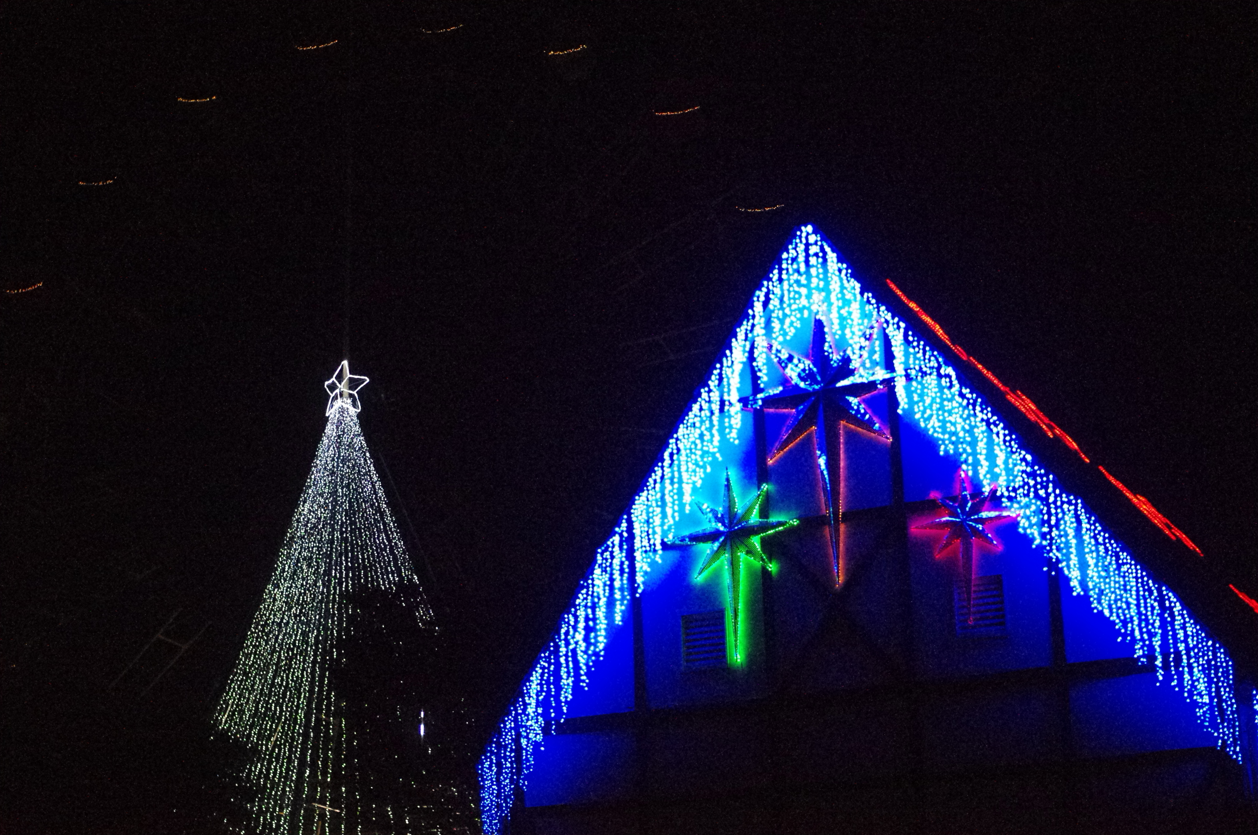 <b>ISO12800<br>K-r / DA 40mm F2.8 Limited / 約5.0MB / 4,288×2,848 / 1/1,250秒 / F2.8 / 0.0EV / WB:オート / 40mm</b>