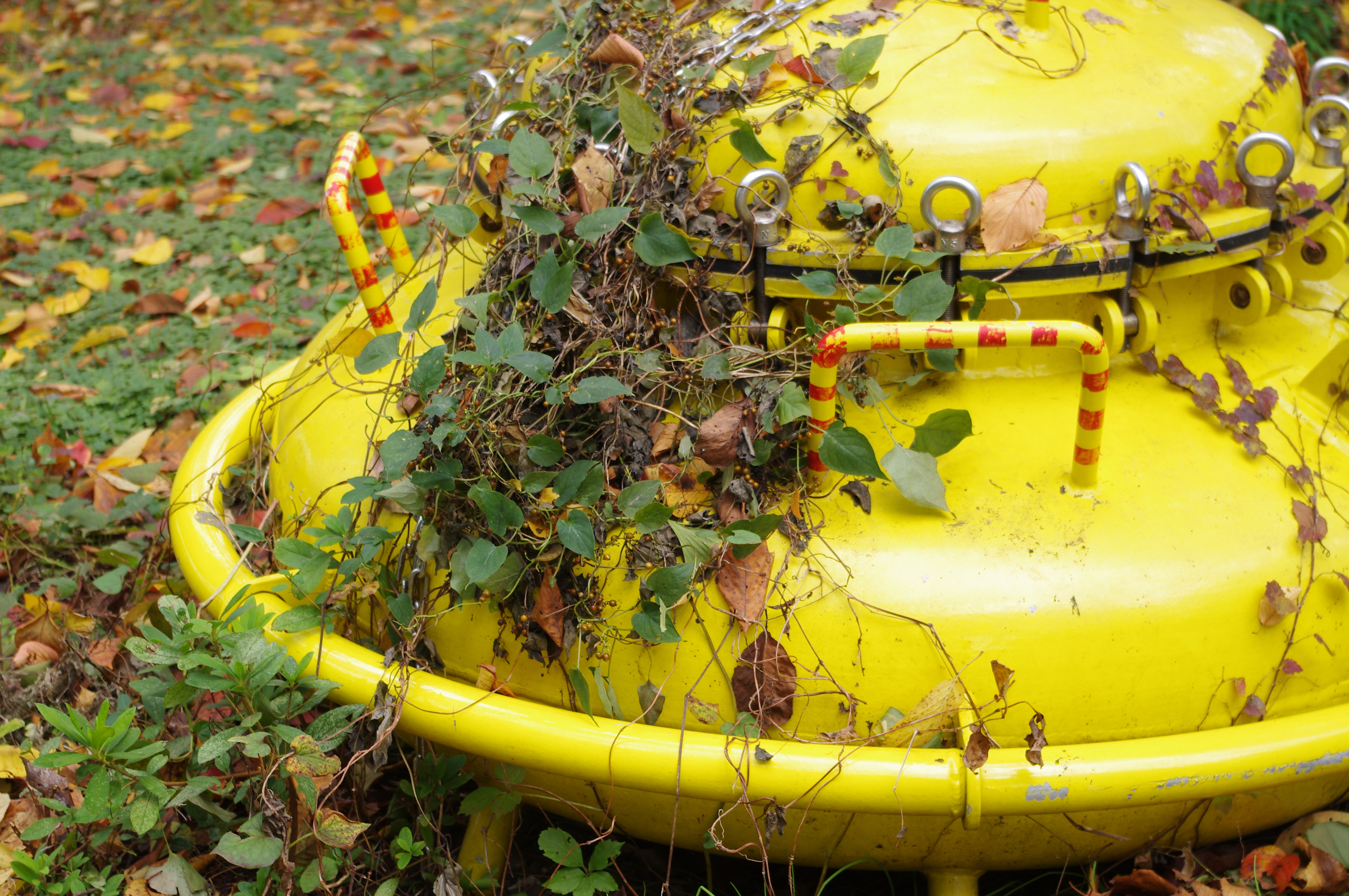 <b>デジタルフィルター:オフK-r / DA 18-55mm F3.5-5.6 AL / 約5.6MB / 4,288×2,848 / 1/60秒 / F8 / 0.0EV / ISO200 / WB:オート / 55mm</b>