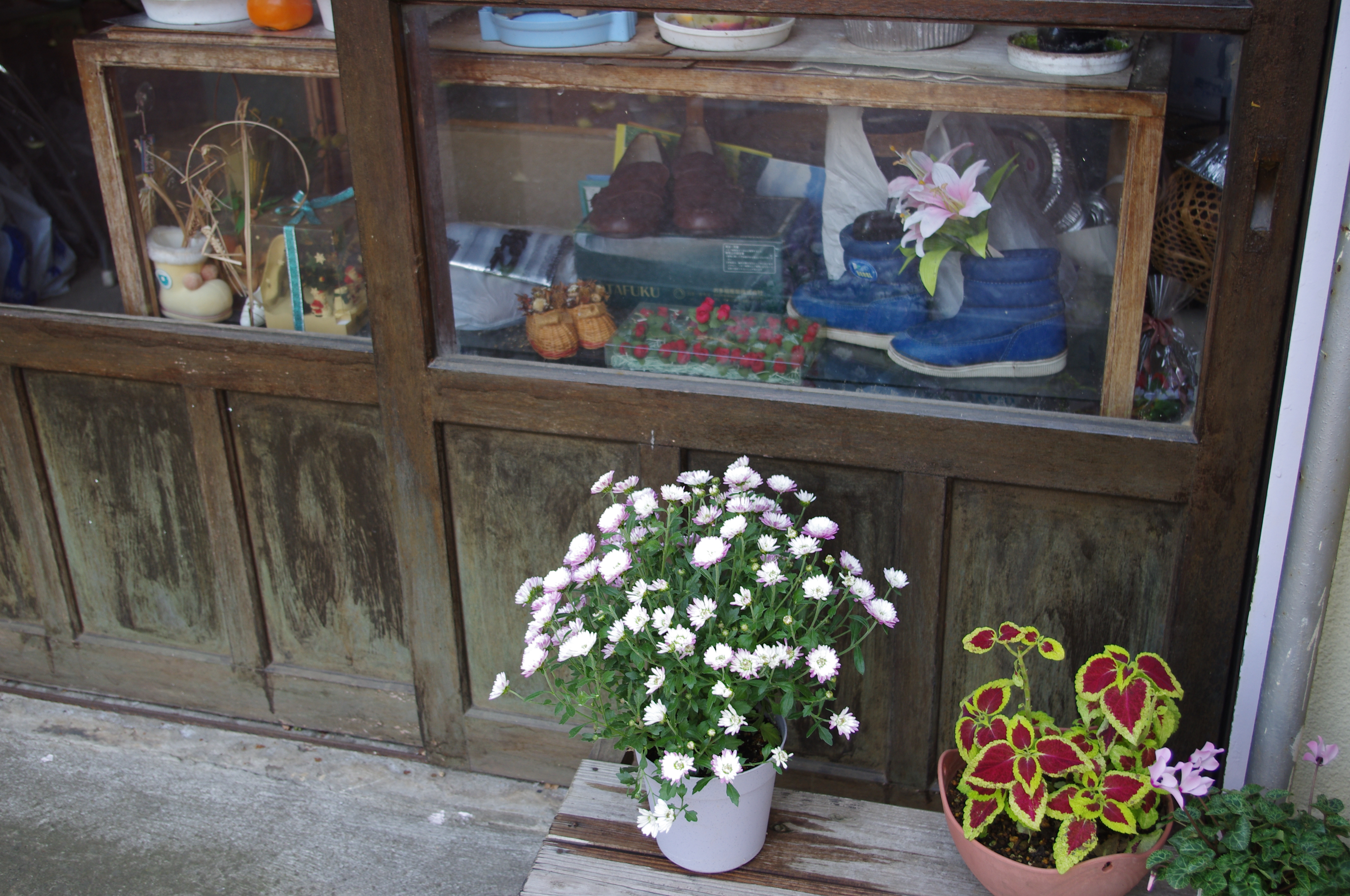 <b>K-r / DA 18-55mm F3.5-5.6 AL / 約4.9MB / 4,288×2,848 / 1/60秒 / F4 / 0.0EV / ISO160 / WB:オート / 28.1mm</b>