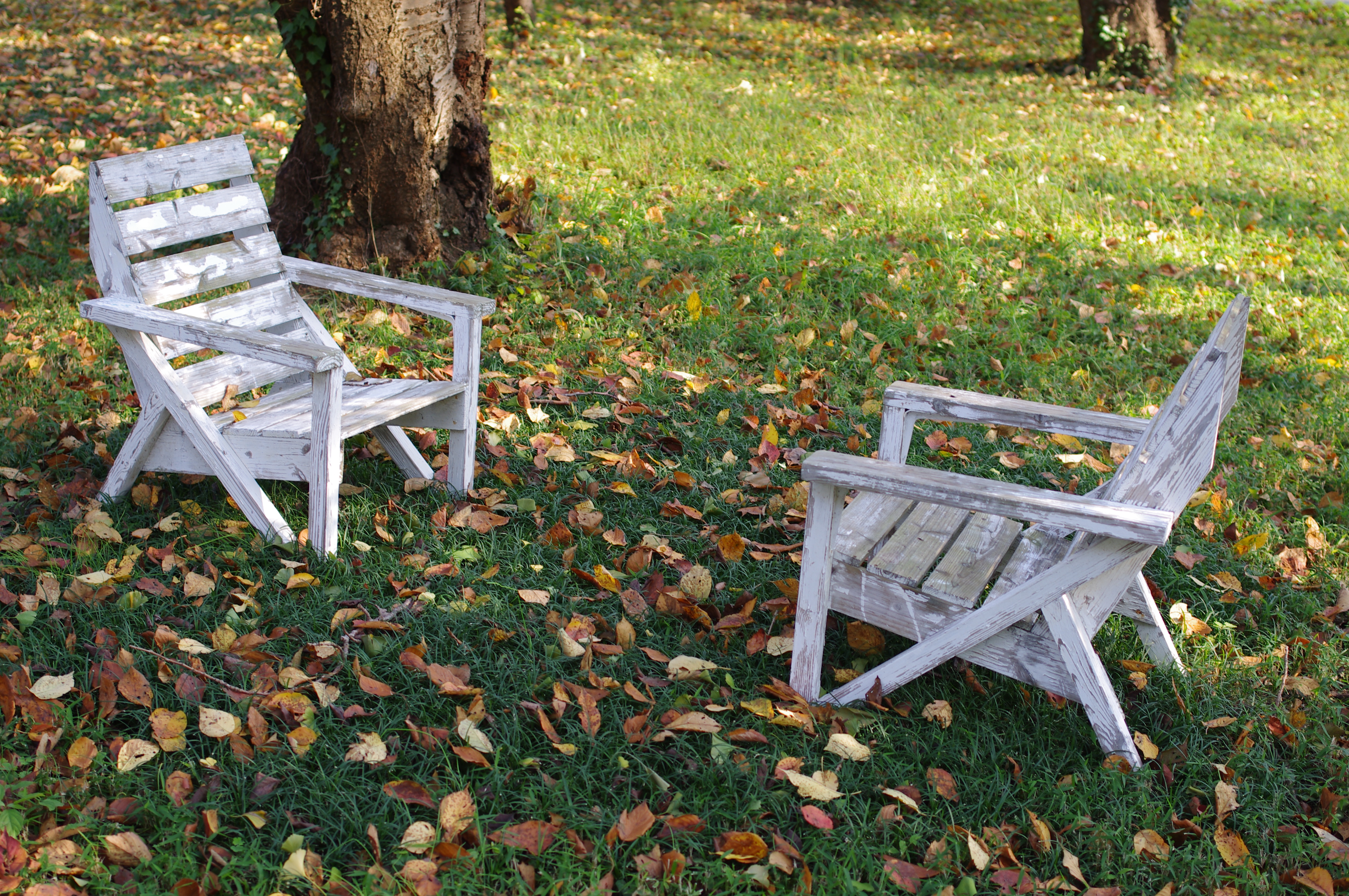 <b>K-r / DA 35mm F2.4 AL / 約5.3MB / 4,288×2,848 / 1/125秒 / F3.5 / 0.0EV / ISO100 / WB:オート / 35mm</b>