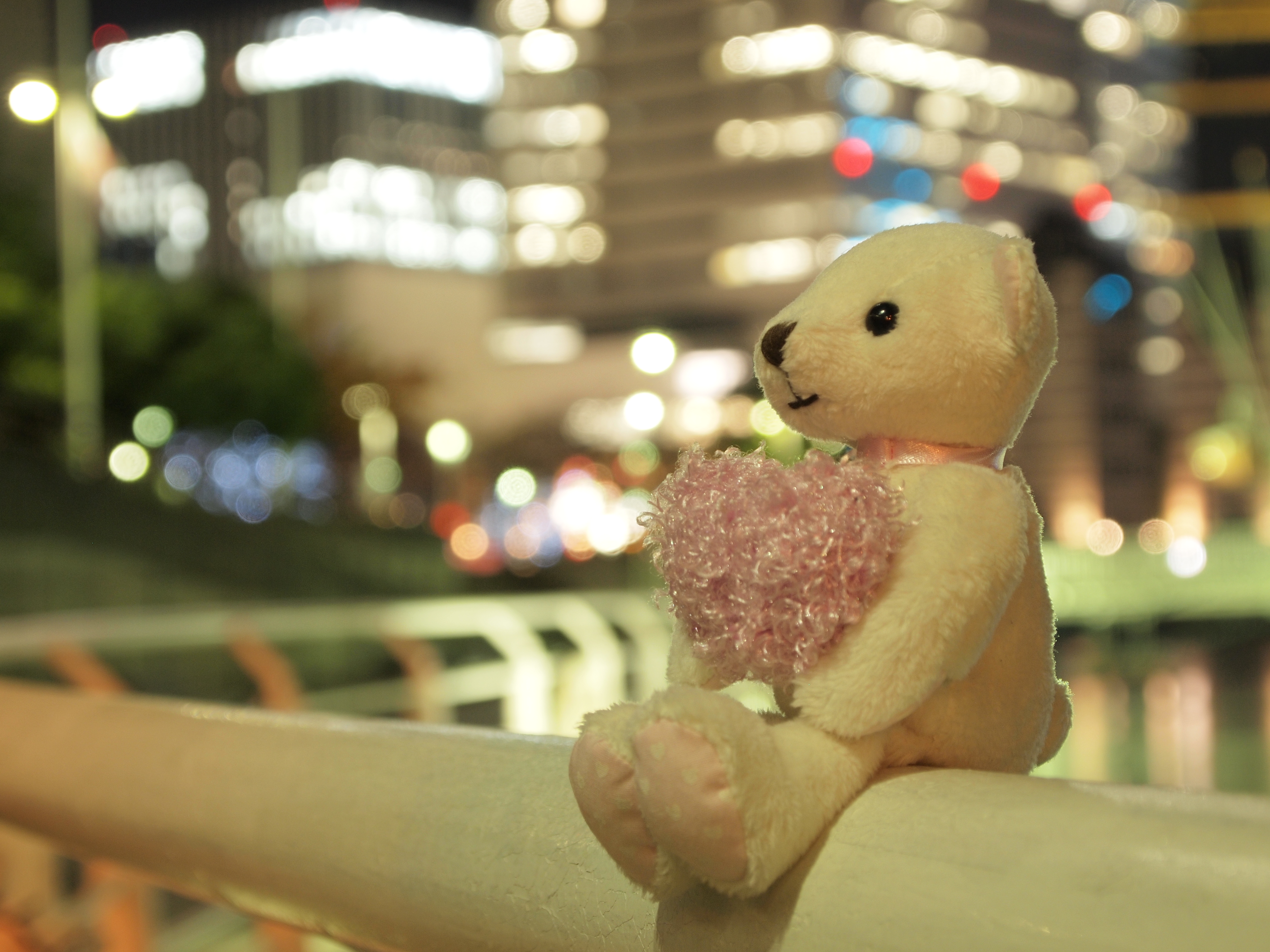 <b>E-P2 / M.ZUIKO DIGITAL ED 14-42mm F3.5-5.6 / 約4.9MB / 4,032×3,024 / 1.6秒 / F5.6 / +1.0EV / ISO200 / WB:オート / 42mm</b>