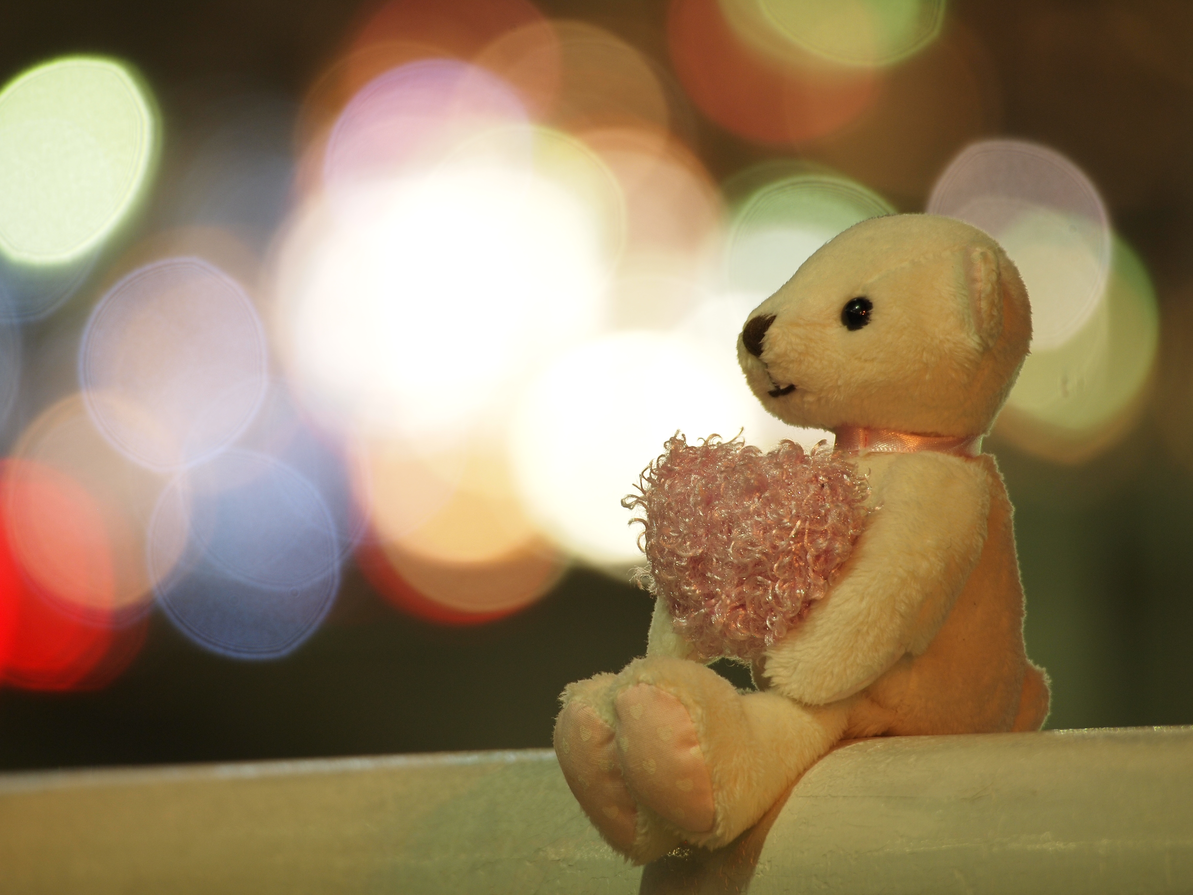 <b>E-P2 / M.ZUIKO DIGITAL ED 75-300mm F4.8-6.7 / 約4.2MB / 4,032×3,024 / 1.6秒 / F6.7 / +1.3EV / ISO200 / WB:オート / 300mm</b>