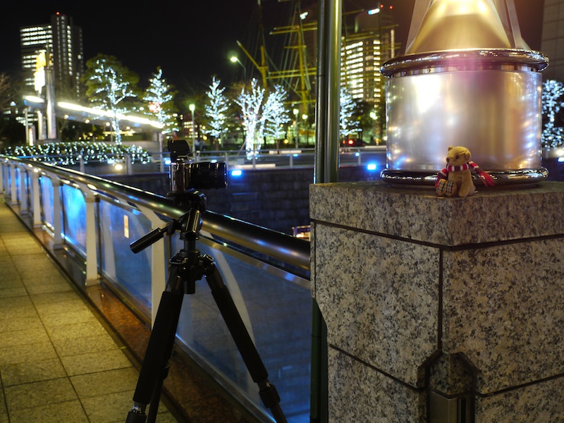 <b>背景のぼけを大きくするため、上の作例より近づいてみた（左写真）</b>