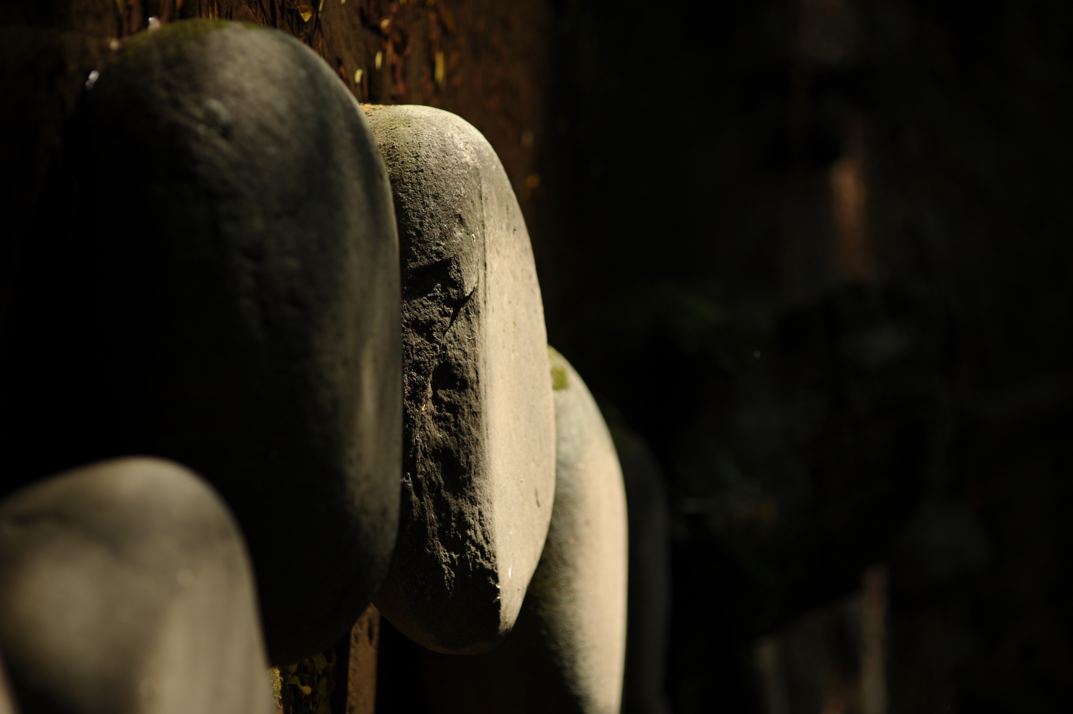 <b>ベース感度が高めのD700だけに、シャッター速度はばんばん上がる。最高1/8,000秒ってありがたいスペックなんだと再認識した<br>D700 / 85mm F1.4 EX DG HSM / 4,256×2,832 / 1/3,200秒 / F2 / -1EV / ISO200 / 絞り優先AE / WB:晴天</b>