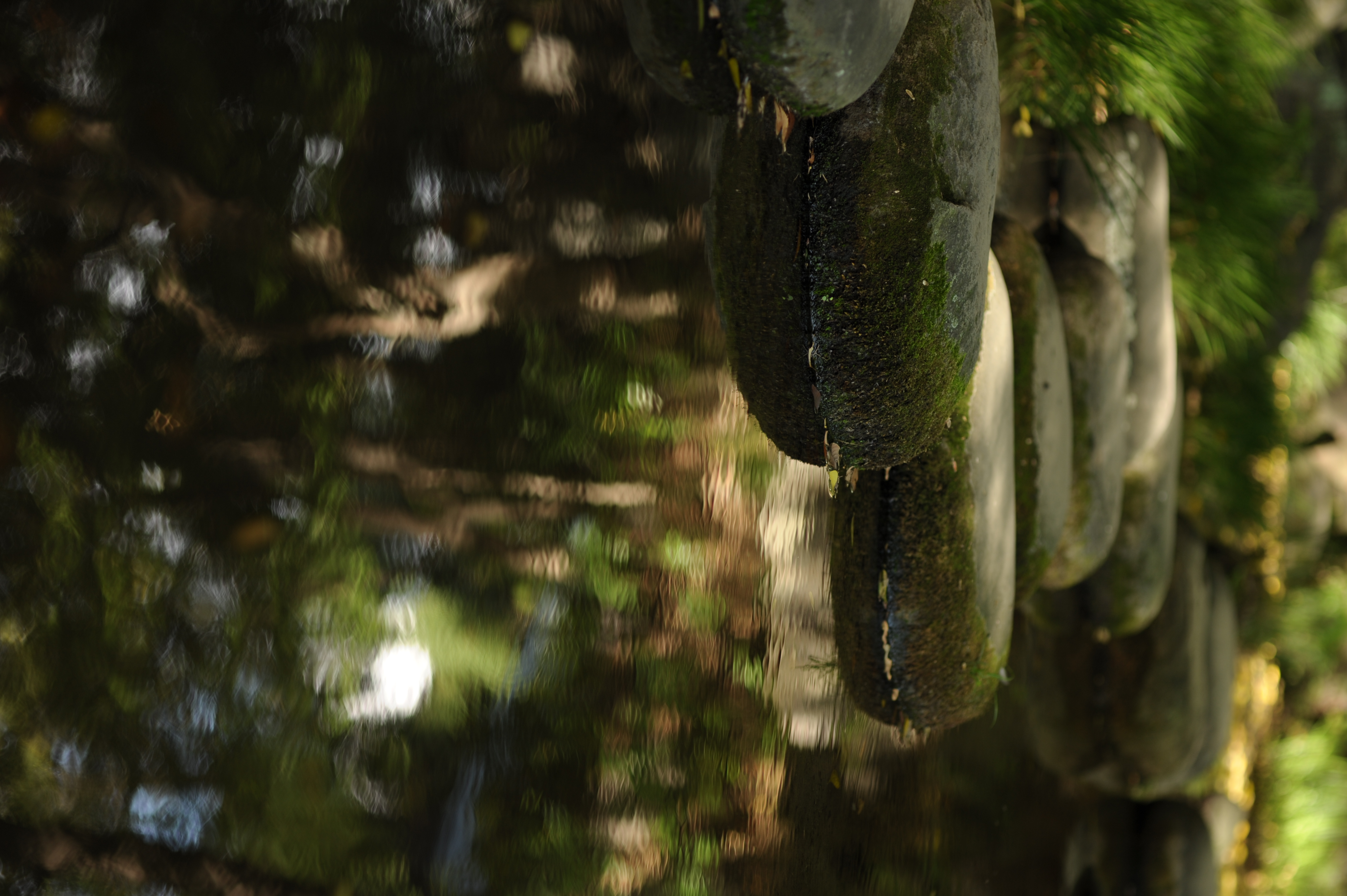 <b>左側の草のボケ方がちょっとざわざわした感じに見えるけれど、ほかの部分は自然で悪くないと思う<br>D700 / 85mm F1.4 EX DG HSM / 4,256×2,832 / 1/200秒 / F2.8 / -2EV / ISO200 / 絞り優先AE / WB:晴天</b>