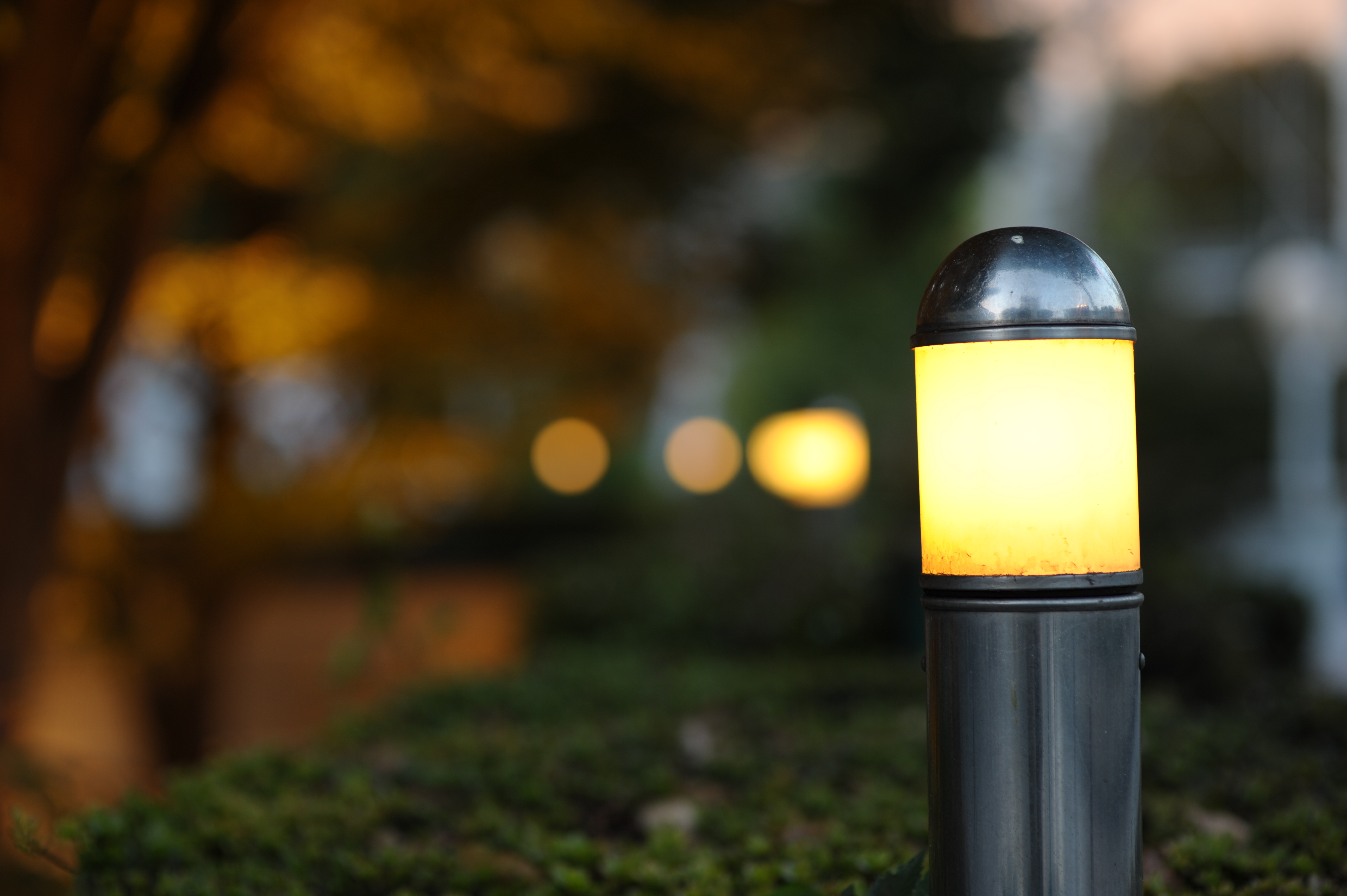 <b>だいたいF2.2あたりまでは絞りの形がきれいな円形になってくれる。点光源ボケもきれいに丸い<br>D700 / 85mm F1.4 EX DG HSM / 4,256×2,832 / 1/250秒 / F2.2 / -1.3EV / ISO200 / 絞り優先AE / WB:晴天</b>