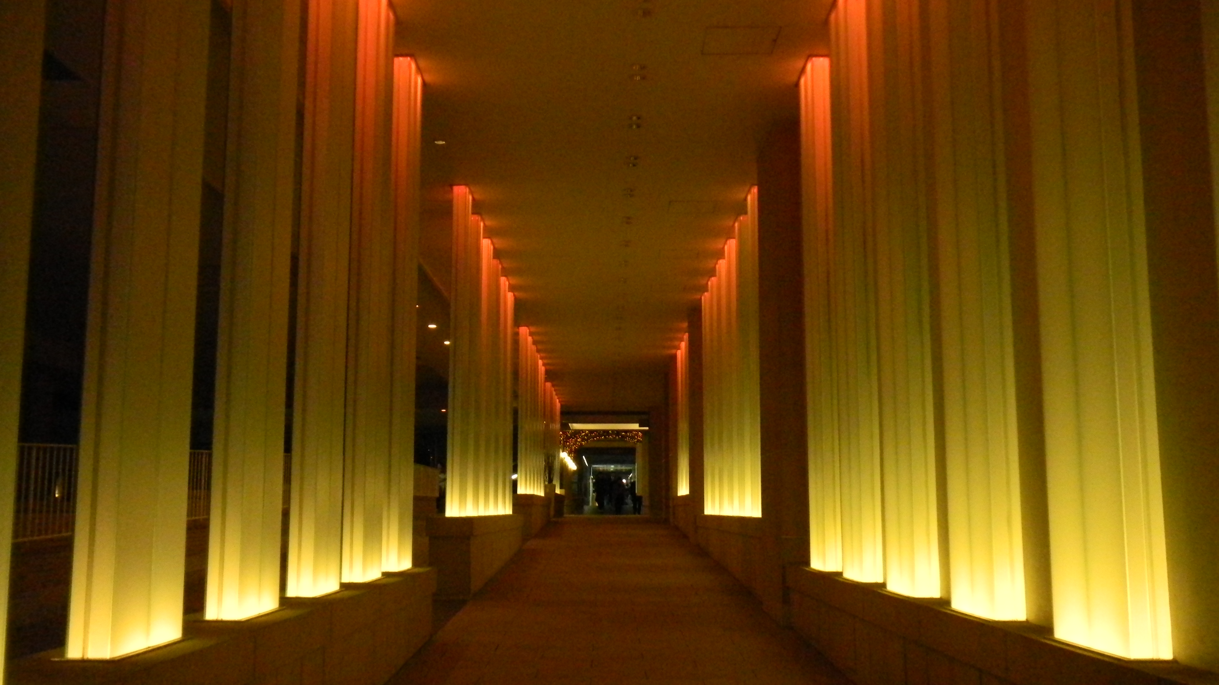 <b>ISO800<br>COOLPIX S80 / 約1.9MB / 3,968×2,232 / 1/64秒 / F3.6 / -1.0EV / WB:晴天 / 6.3mm</b>