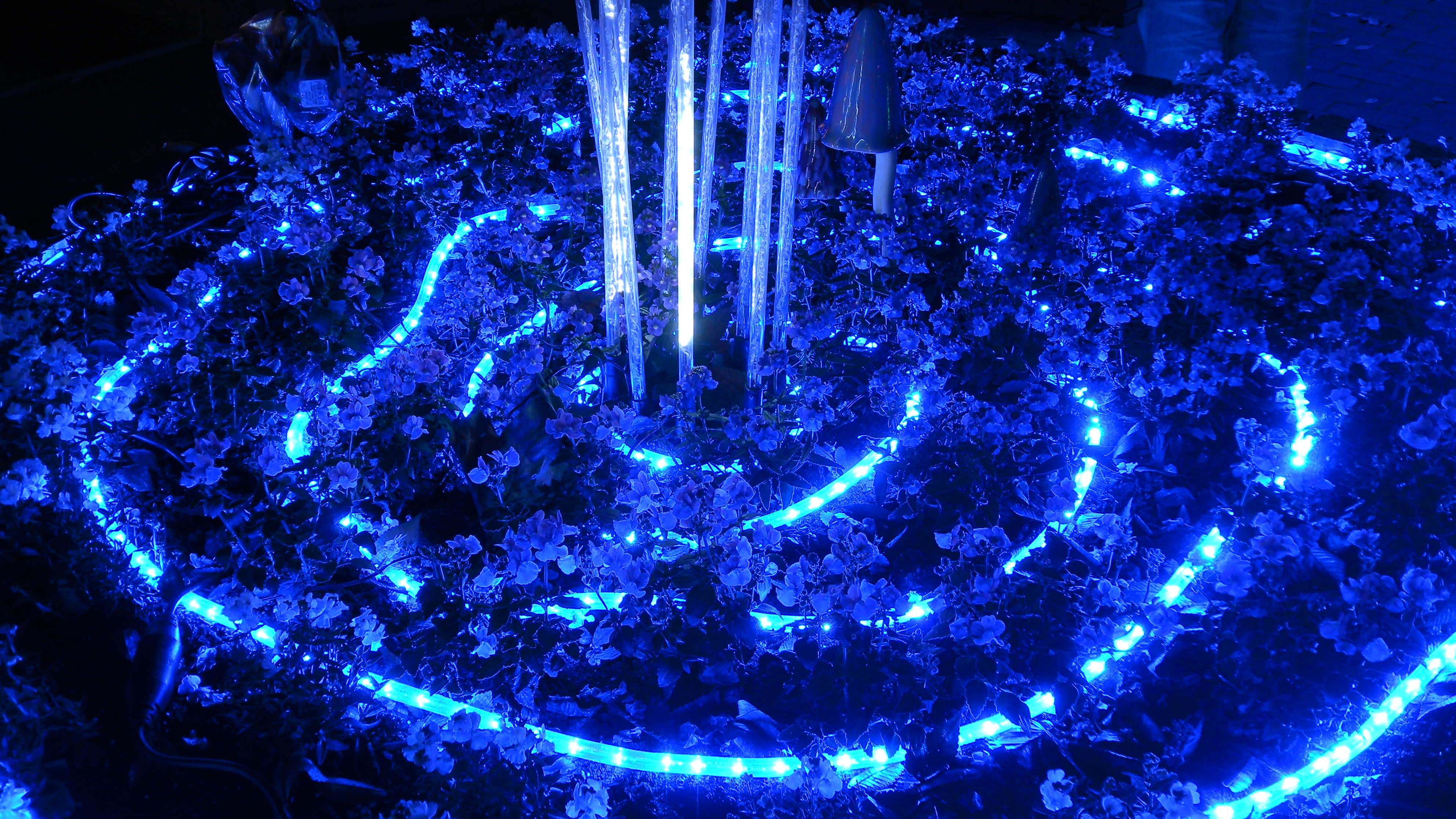 <b>COOLPIX S80 / 約1.9MB / 3,968×2,232 / 1/3秒 / F3.6 / -0.7EV / ISO80 / WB:晴天 / 6.3mm</b>